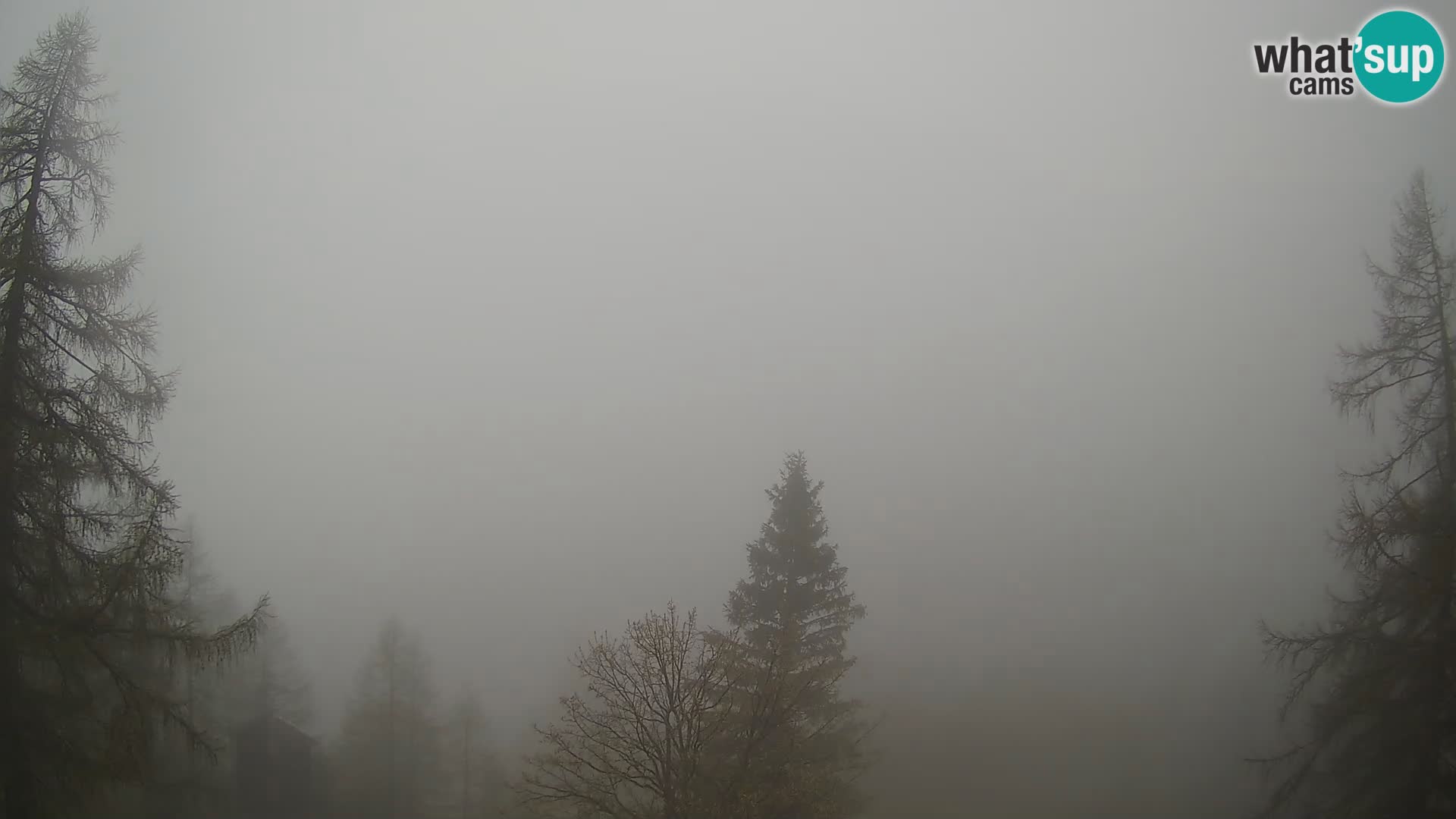 Vršič LIVE webcam casa Erjavčeva – vista sul PRISOJNIK – Slovenia