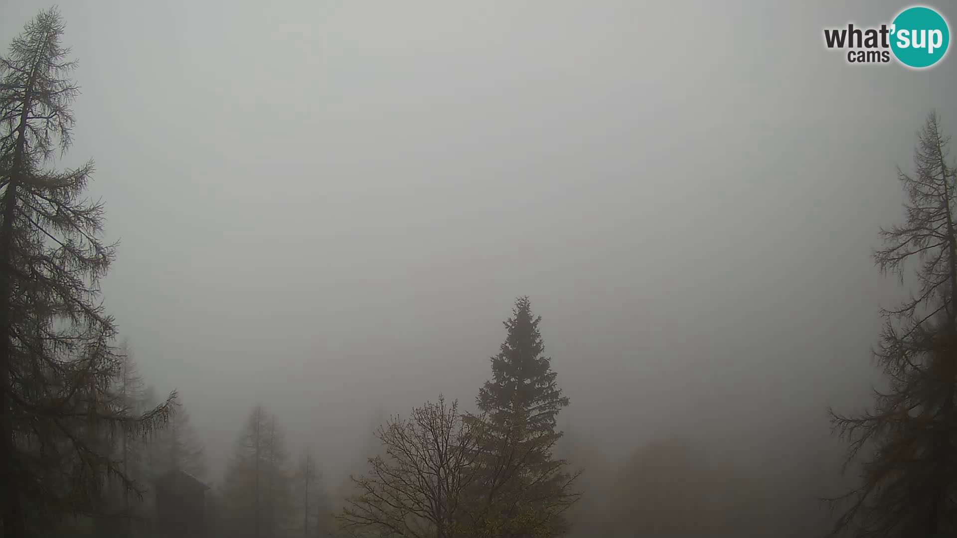 Vršič camera en vivo Casa Erjavčeva – vista a PRISOJNIK – Eslovenia