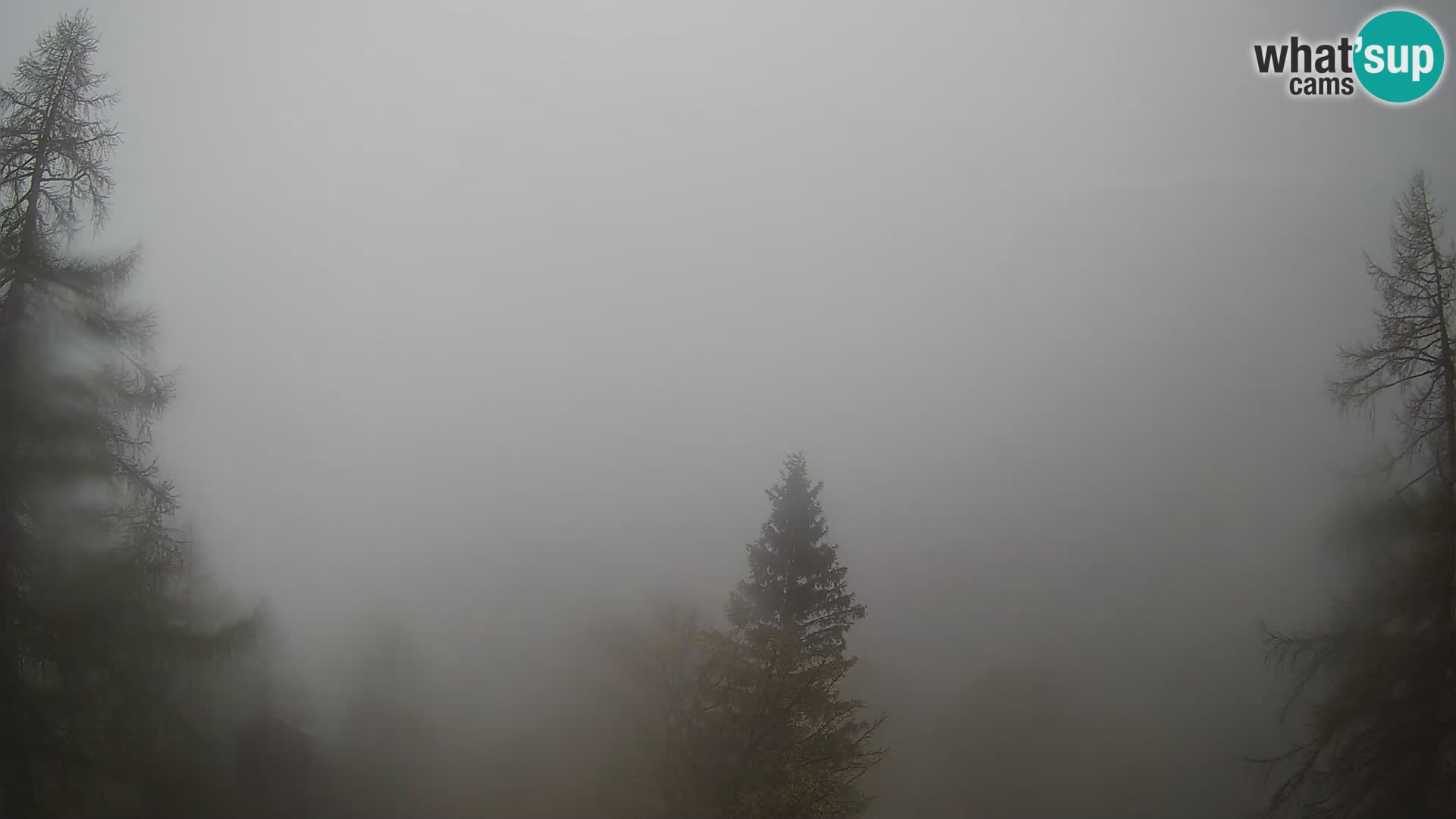 Vršič LIVE webcam casa Erjavčeva – vista sul PRISOJNIK – Slovenia
