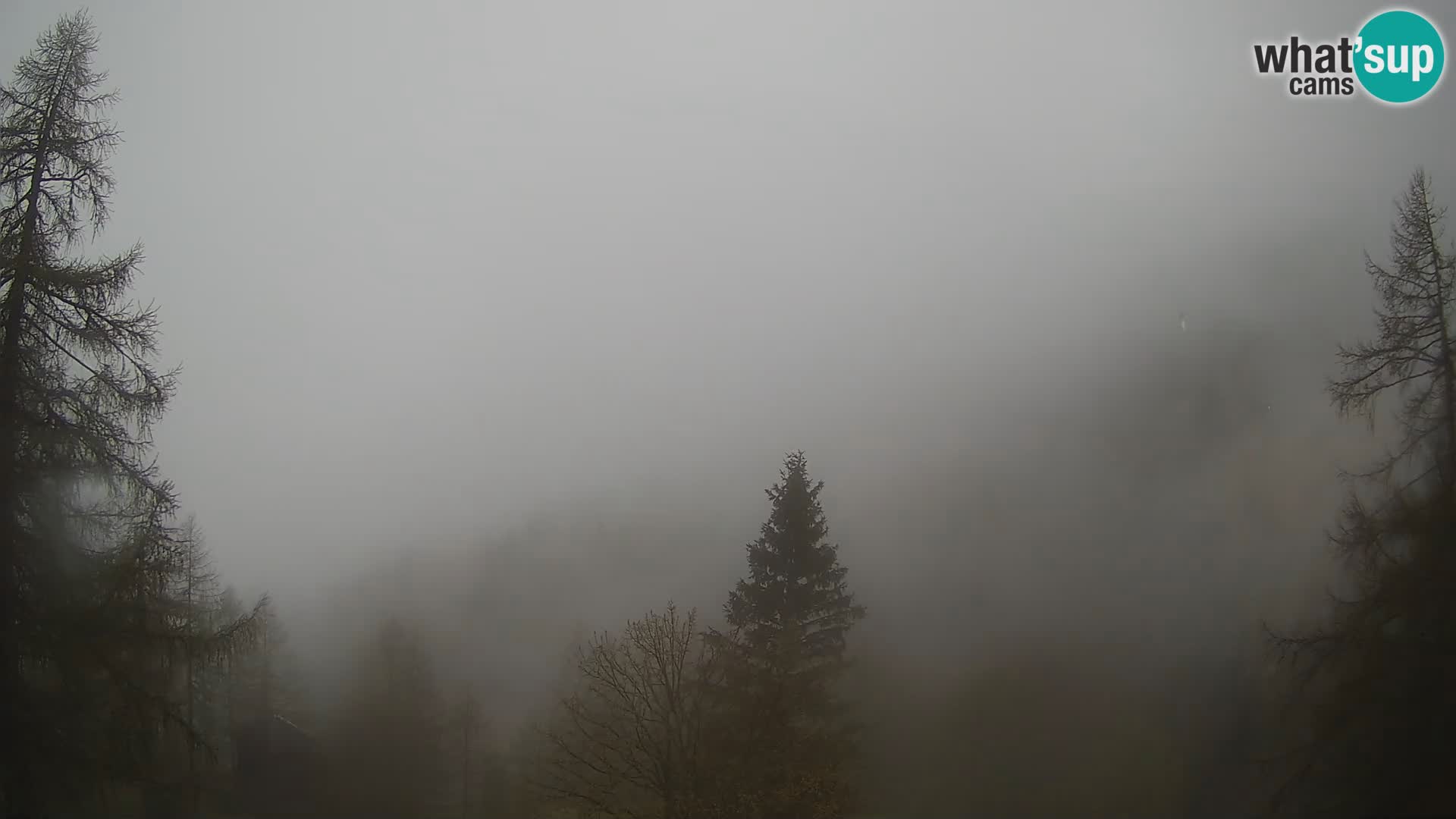 Vršič LIVE webcam casa Erjavčeva – vista sul PRISOJNIK – Slovenia