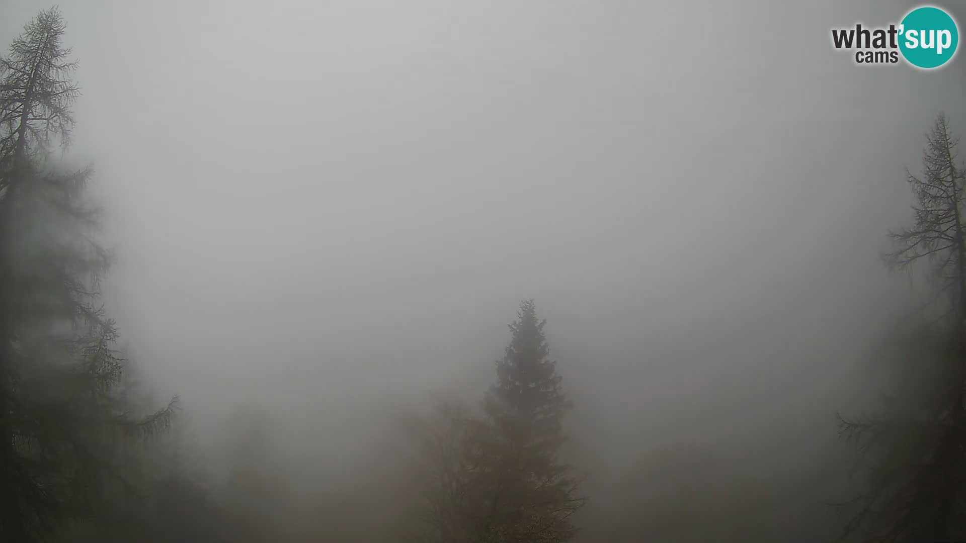Vršič LIVE webcam casa Erjavčeva – vista sul PRISOJNIK – Slovenia