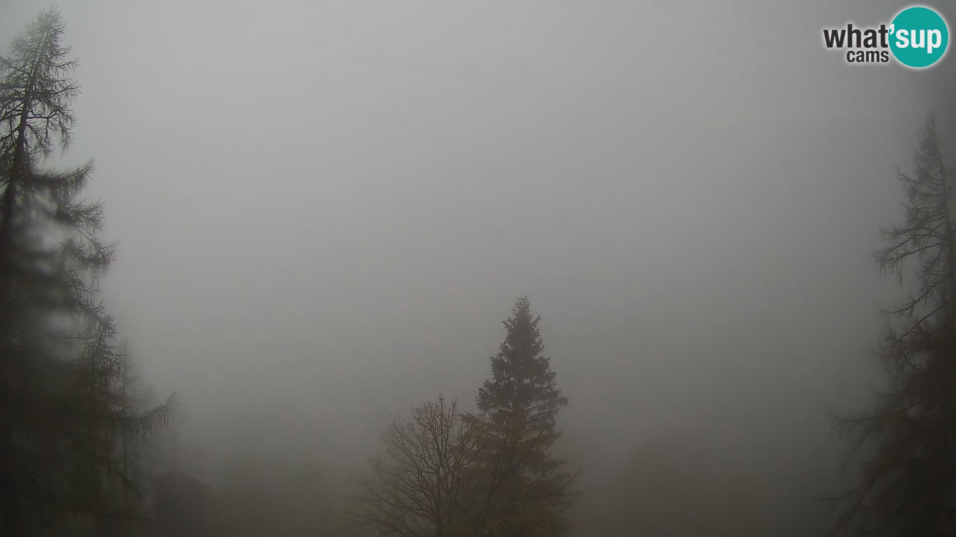 Vršič LIVE webcam casa Erjavčeva – vista sul PRISOJNIK – Slovenia