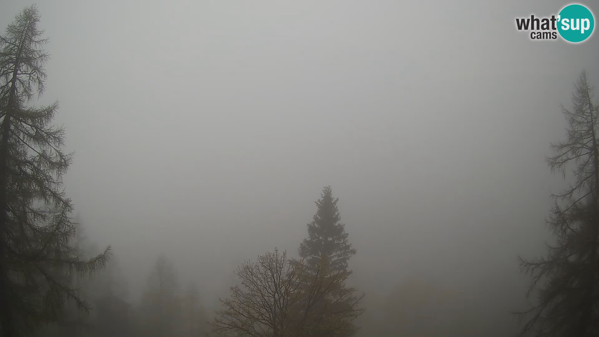 Vršič LIVE webcam casa Erjavčeva – vista sul PRISOJNIK – Slovenia