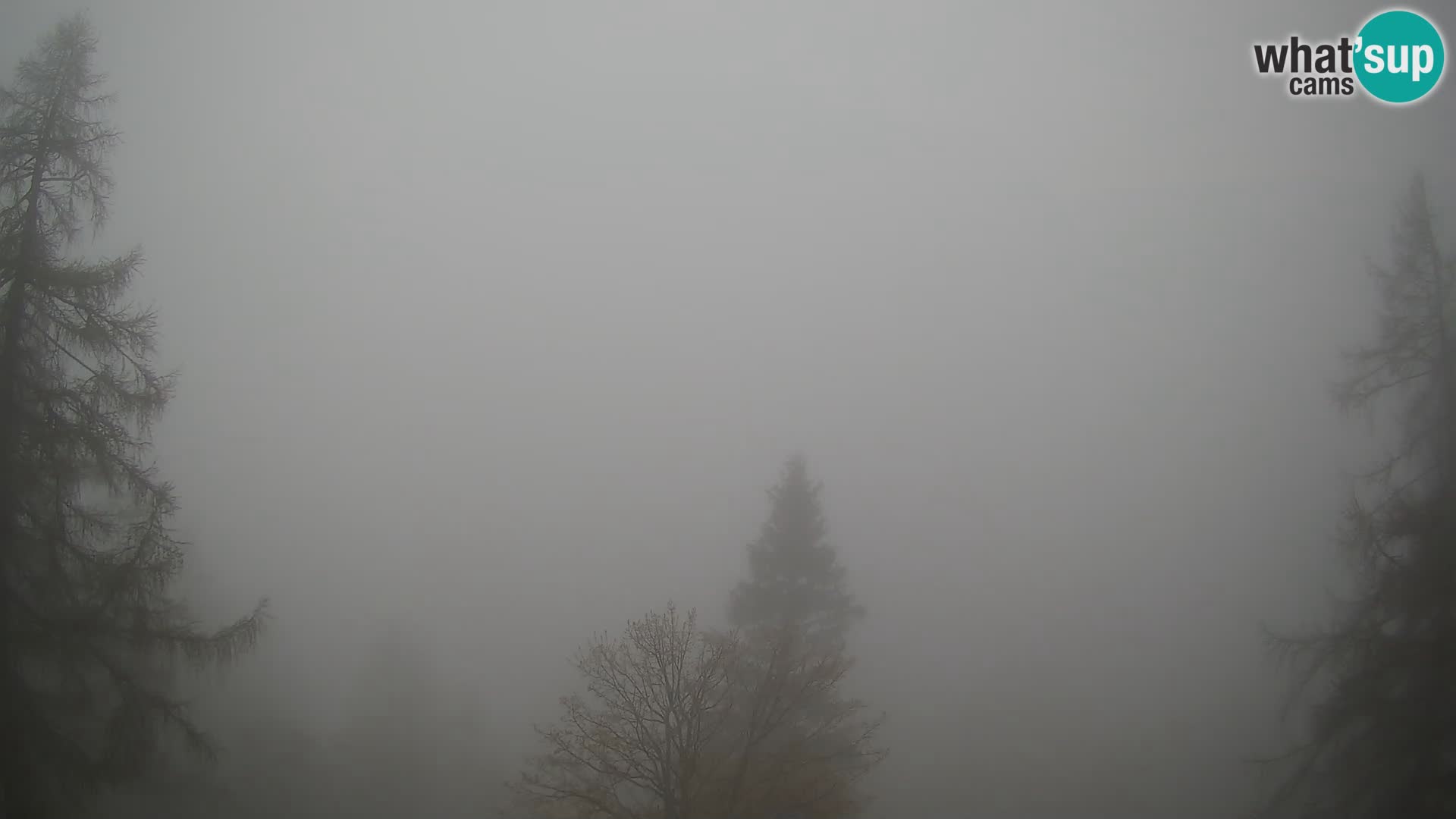 Vršič camera en vivo Casa Erjavčeva – vista a PRISOJNIK – Eslovenia