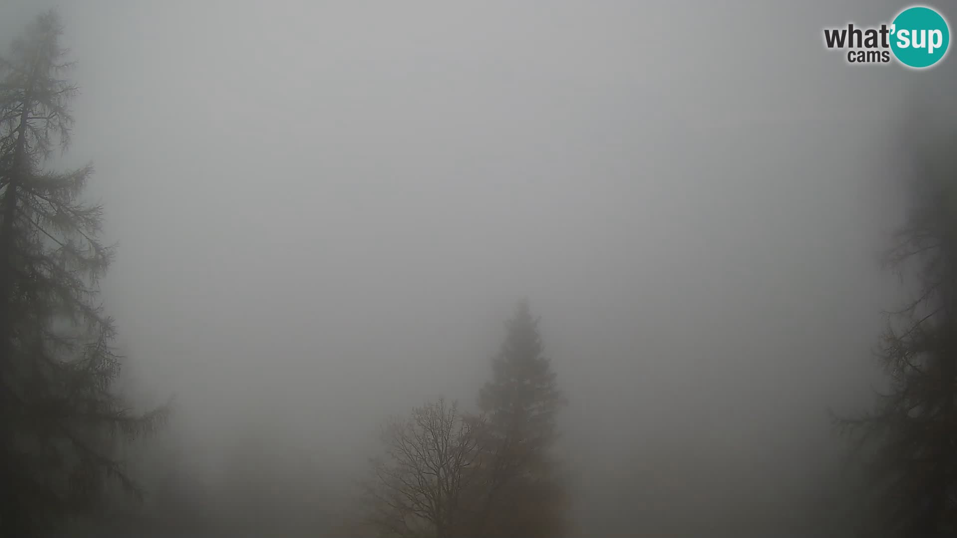 Vršič LIVE Webcam Haus Erjavčeva – Blick auf PRISOJNIK – Slowenien