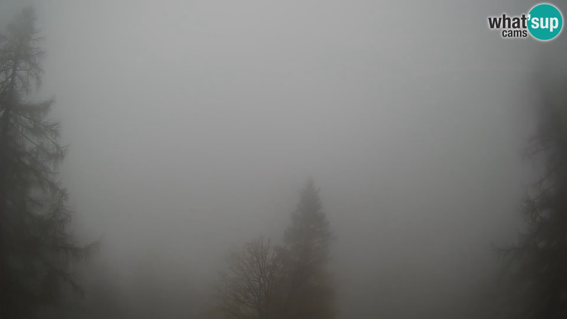 Vršič LIVE webcam casa Erjavčeva – vista sul PRISOJNIK – Slovenia