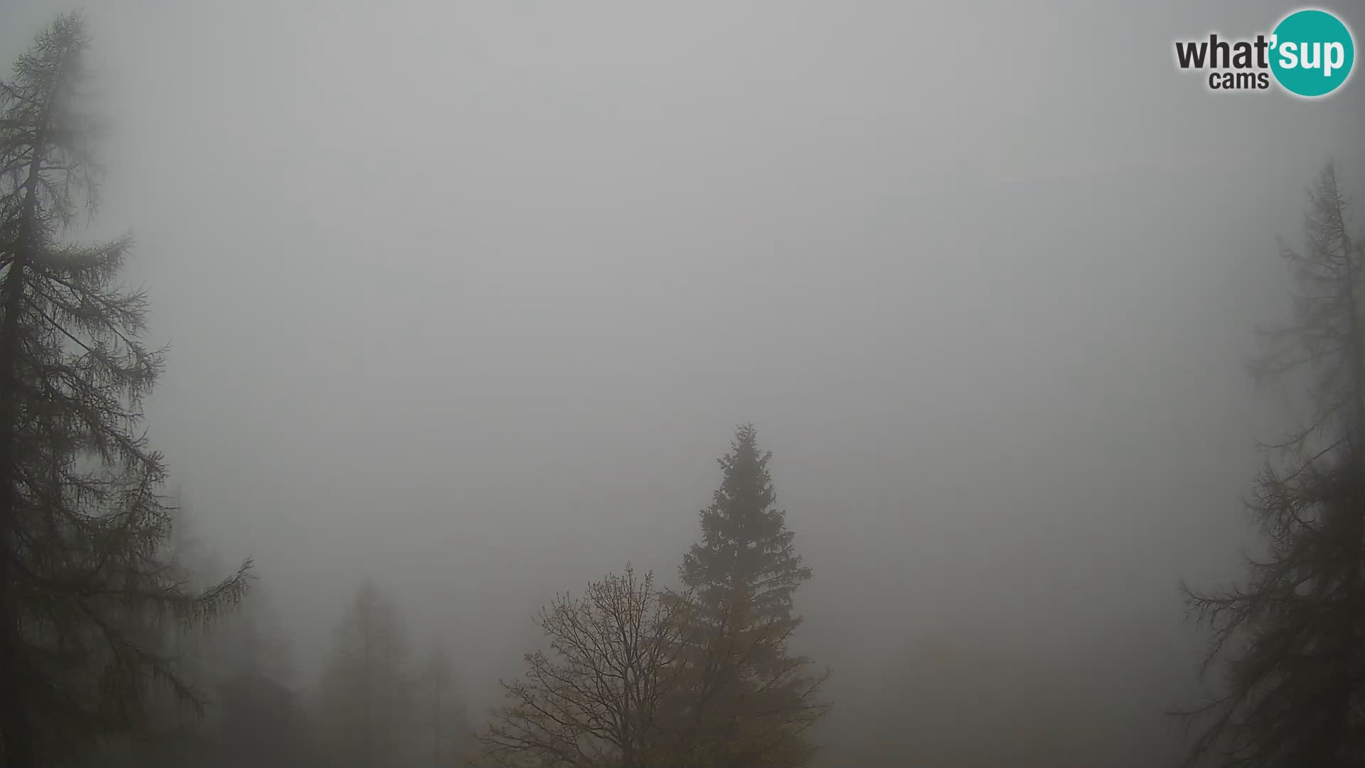 Vršič LIVE webcam casa Erjavčeva – vista sul PRISOJNIK – Slovenia