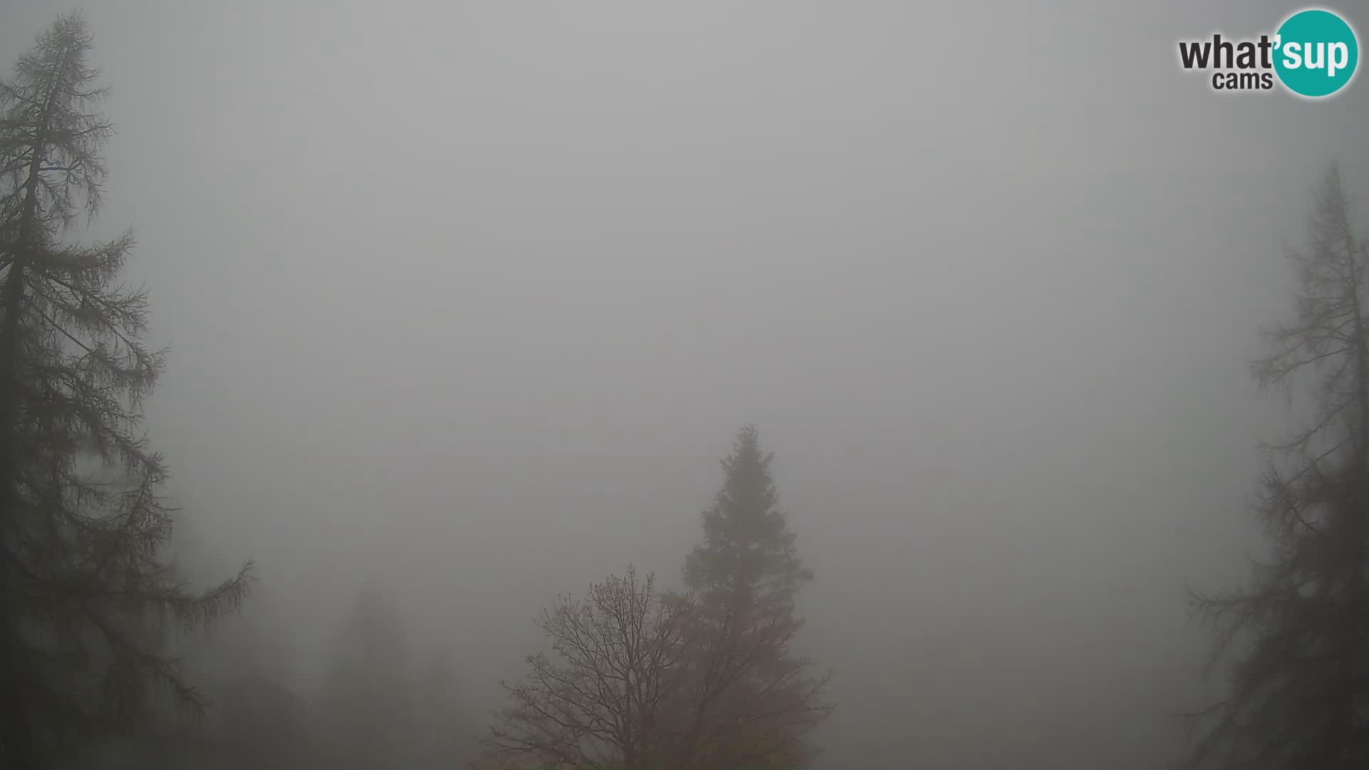 Vršič LIVE webcam casa Erjavčeva – vista sul PRISOJNIK – Slovenia