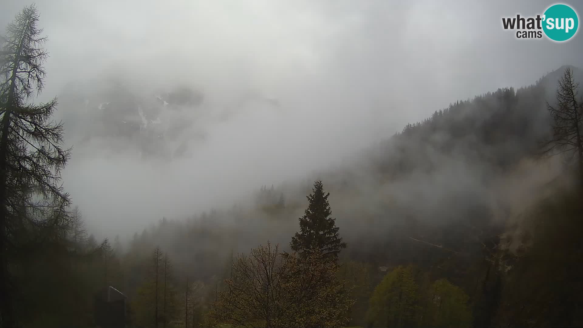 Vršič camera en vivo Casa Erjavčeva – vista a PRISOJNIK – Eslovenia