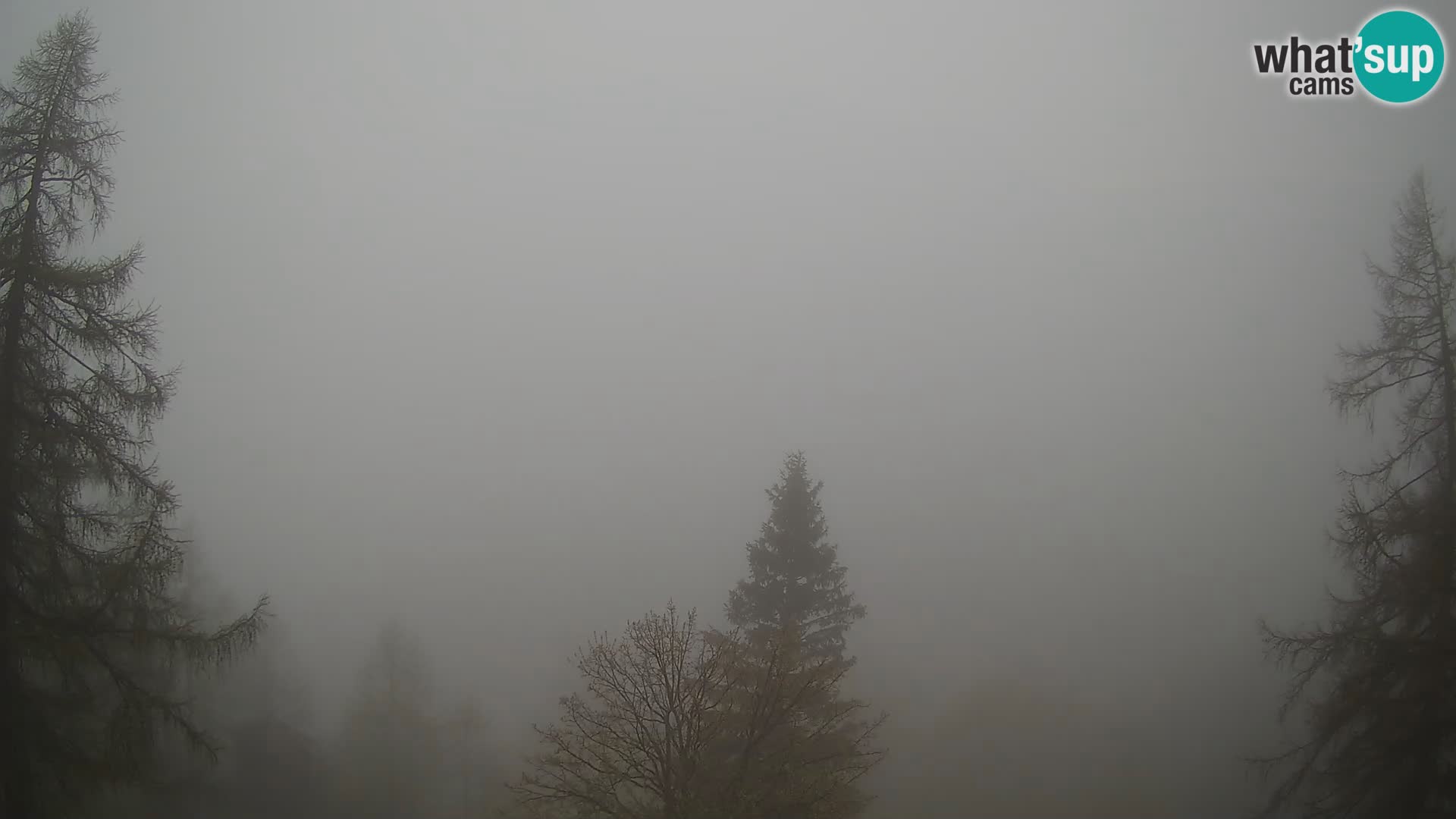 Vršič camera en vivo Casa Erjavčeva – vista a PRISOJNIK – Eslovenia