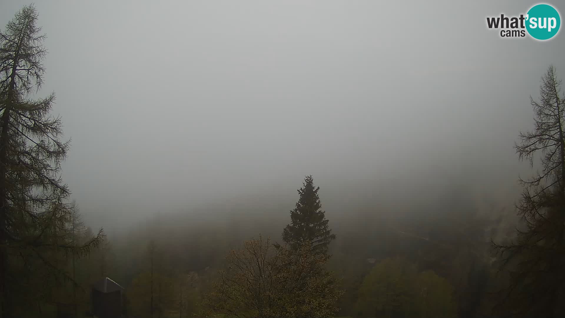 Vršič LIVE Webcam Haus Erjavčeva – Blick auf PRISOJNIK – Slowenien
