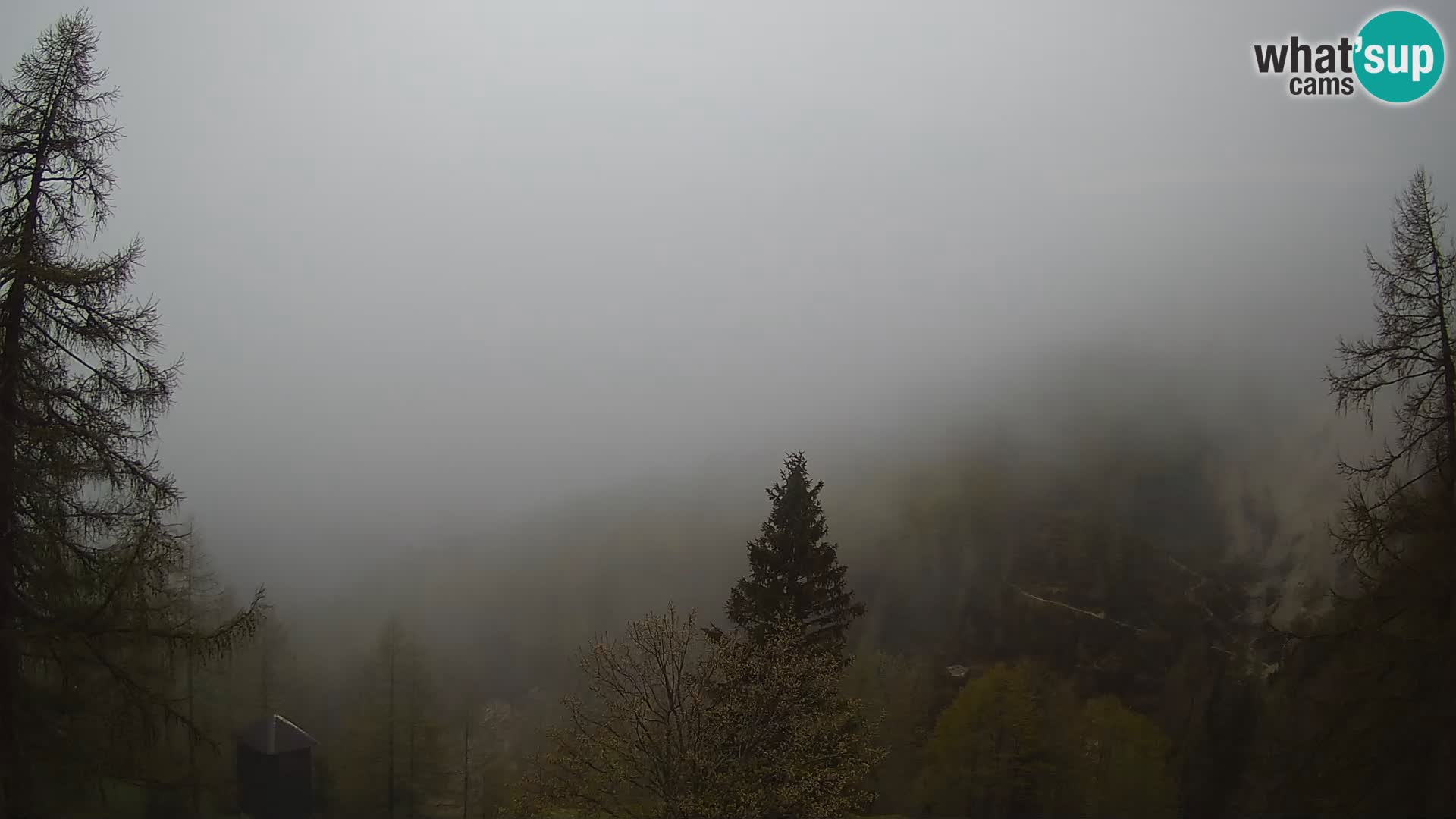 Vršič LIVE webcam casa Erjavčeva – vista sul PRISOJNIK – Slovenia