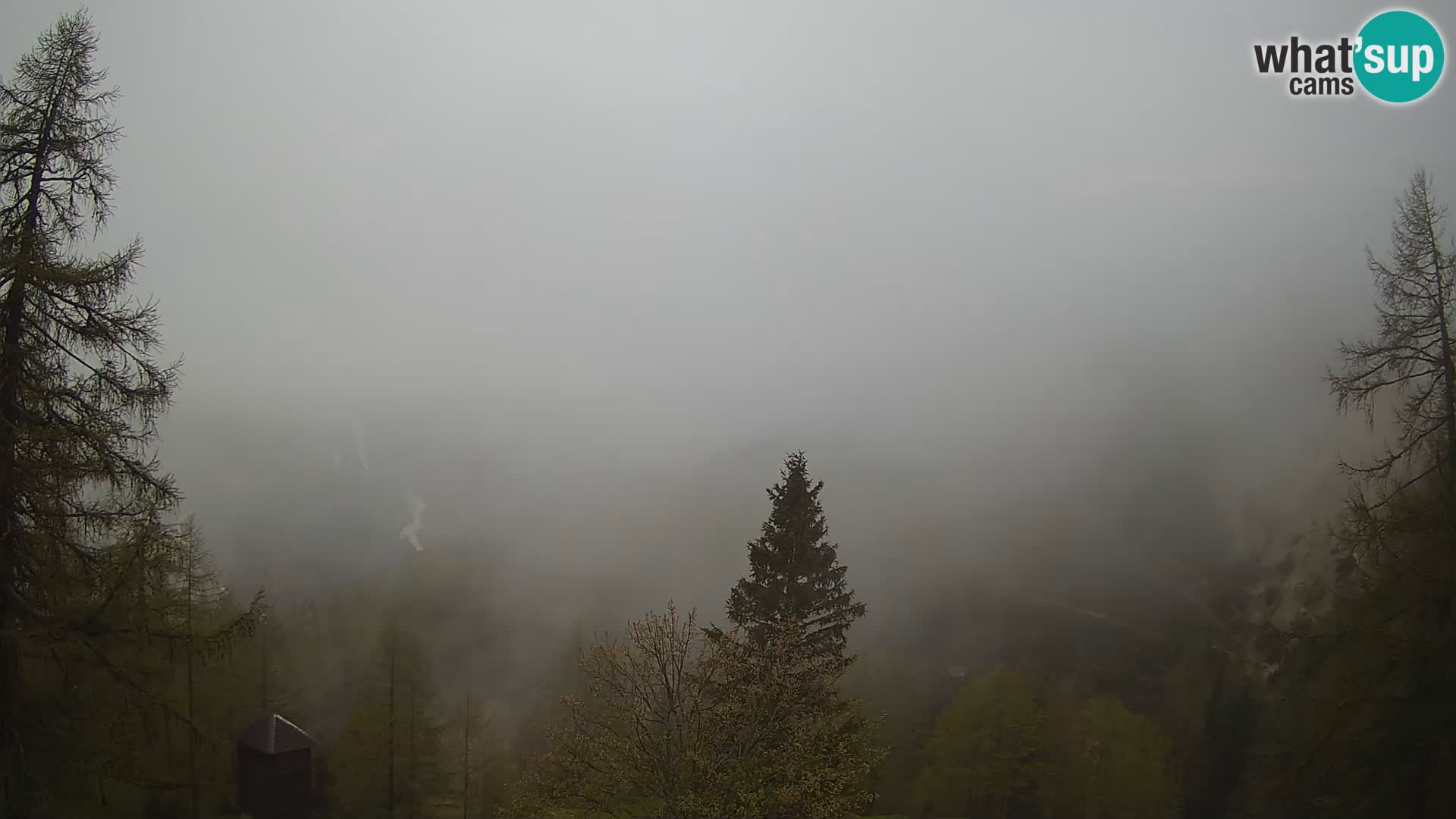 Webcam Vršič LIVE maison Erjavčeva – vue sur PRISOJNIK – Slovénie