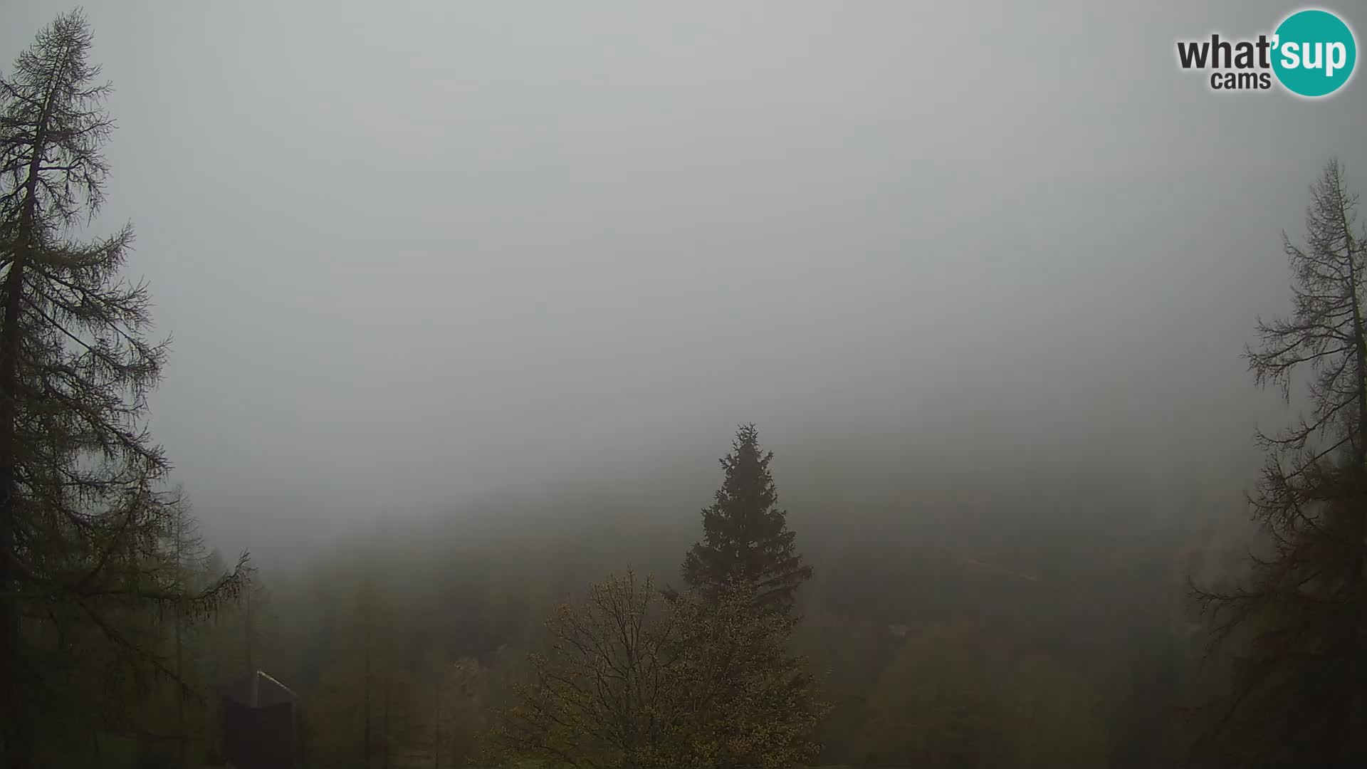Vršič LIVE webcam casa Erjavčeva – vista sul PRISOJNIK – Slovenia