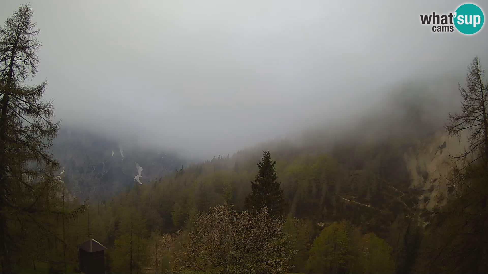 Vršič LIVE webcam casa Erjavčeva – vista sul PRISOJNIK – Slovenia