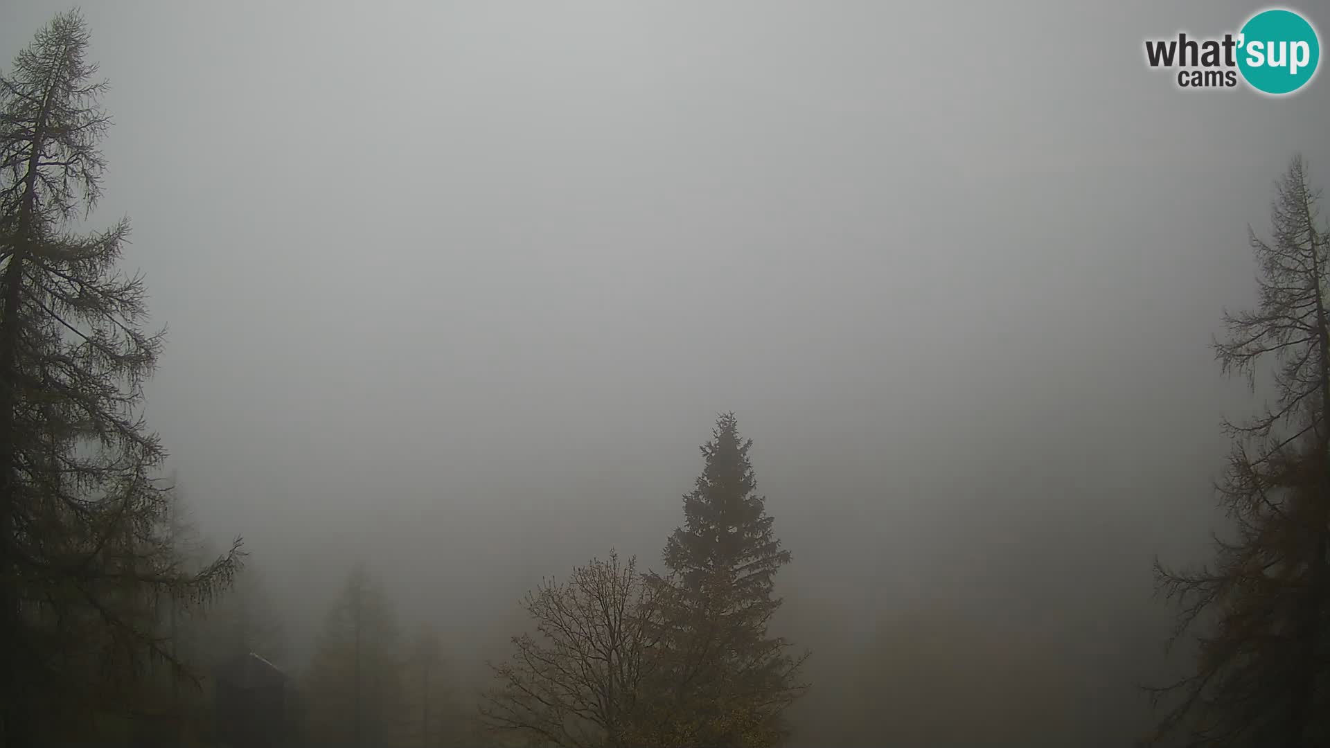 Webcam Vršič LIVE maison Erjavčeva – vue sur PRISOJNIK – Slovénie