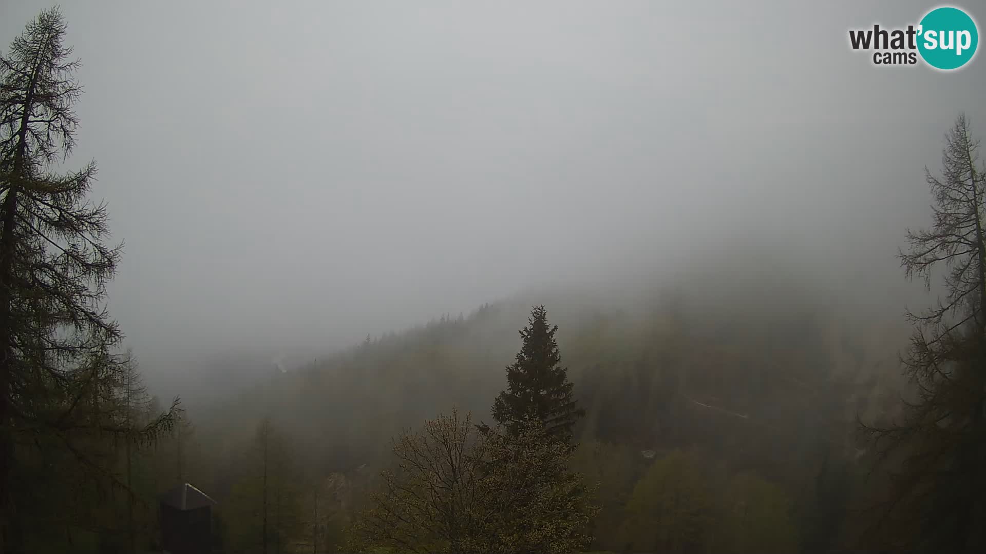 Vršič LIVE webcam casa Erjavčeva – vista sul PRISOJNIK – Slovenia