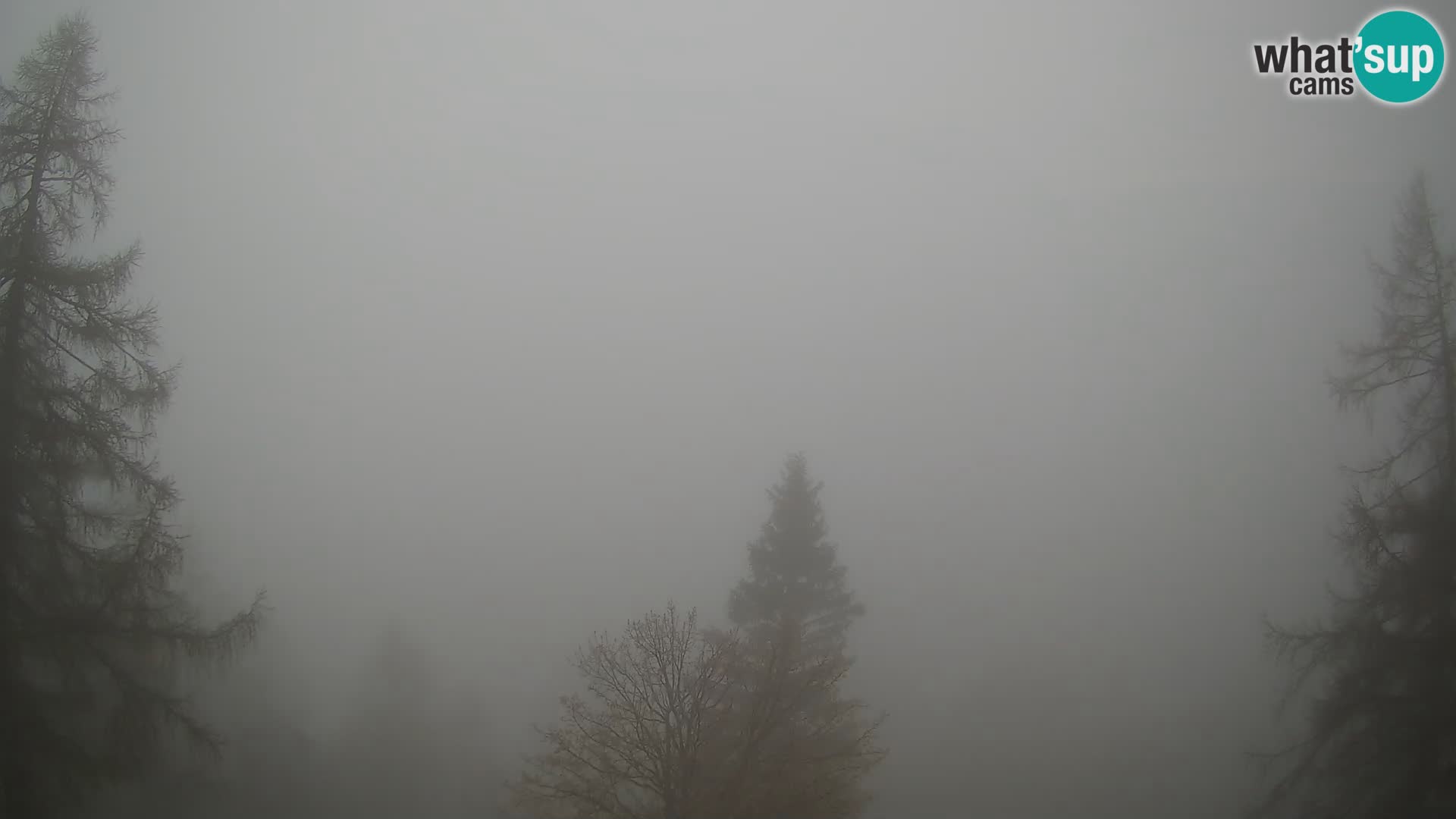 Vršič web kamera Erjavčeva kuća – view to PRISOJNIK – Slovenija