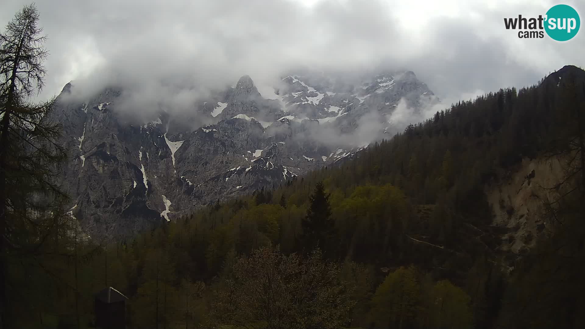 Vršič LIVE webcam casa Erjavčeva – vista sul PRISOJNIK – Slovenia