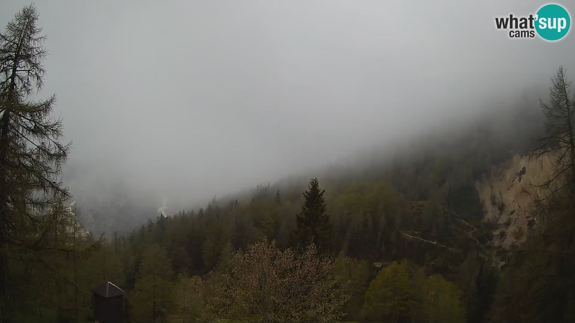 Vršič spletna kamera Erjavčeva hiša – pogled na PRISOJNIK