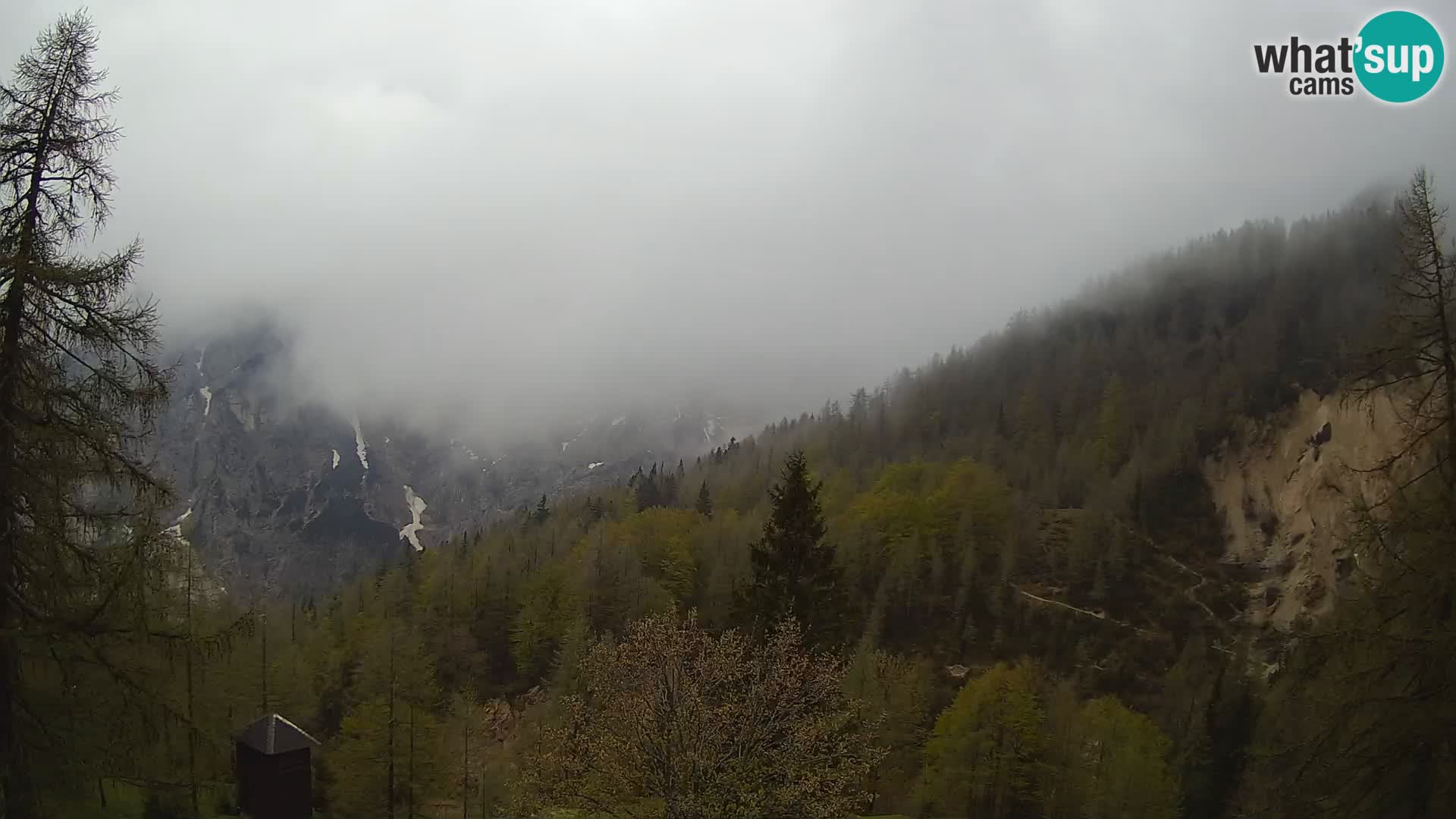 Webcam Vršič LIVE maison Erjavčeva – vue sur PRISOJNIK – Slovénie