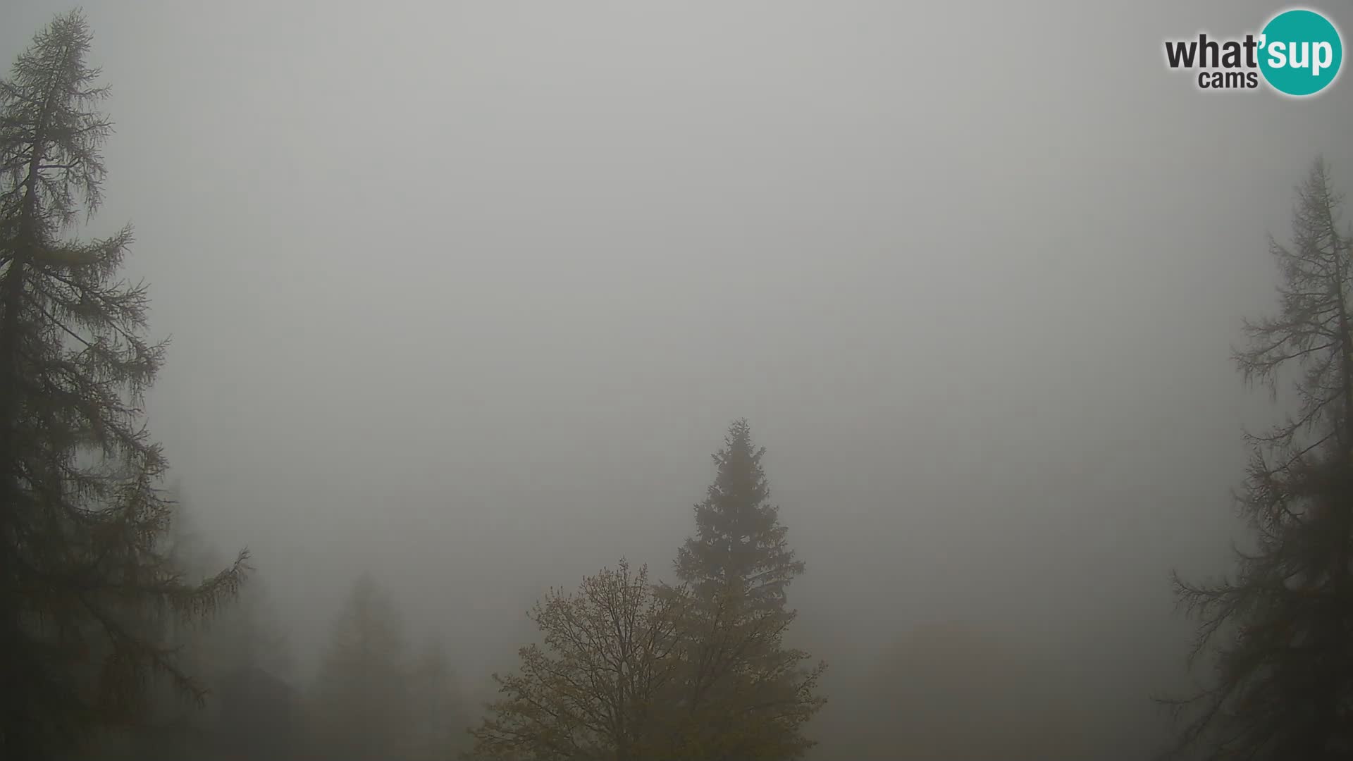 Vršič camera en vivo Casa Erjavčeva – vista a PRISOJNIK – Eslovenia