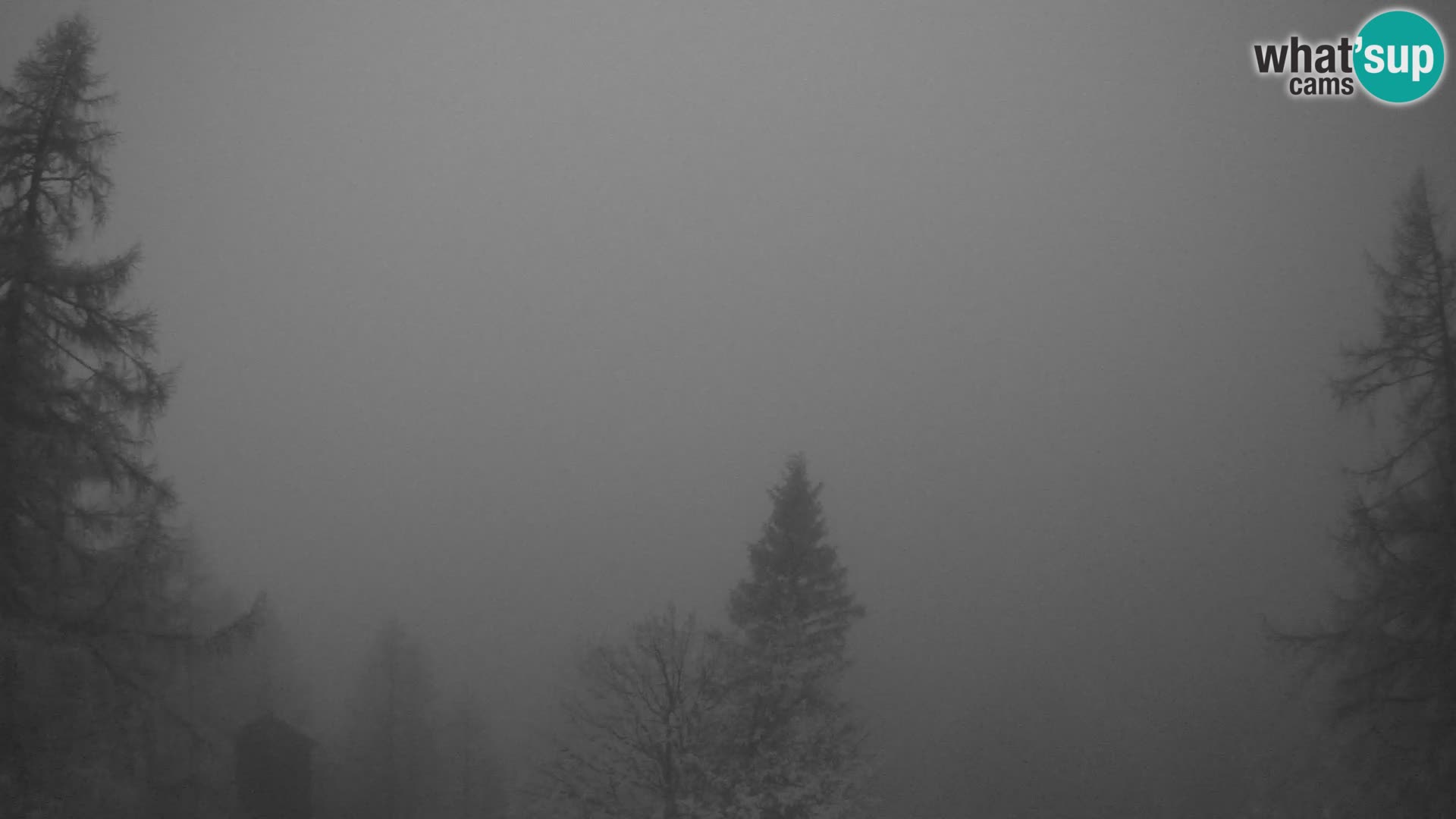 Vršič camera en vivo Casa Erjavčeva – vista a PRISOJNIK – Eslovenia