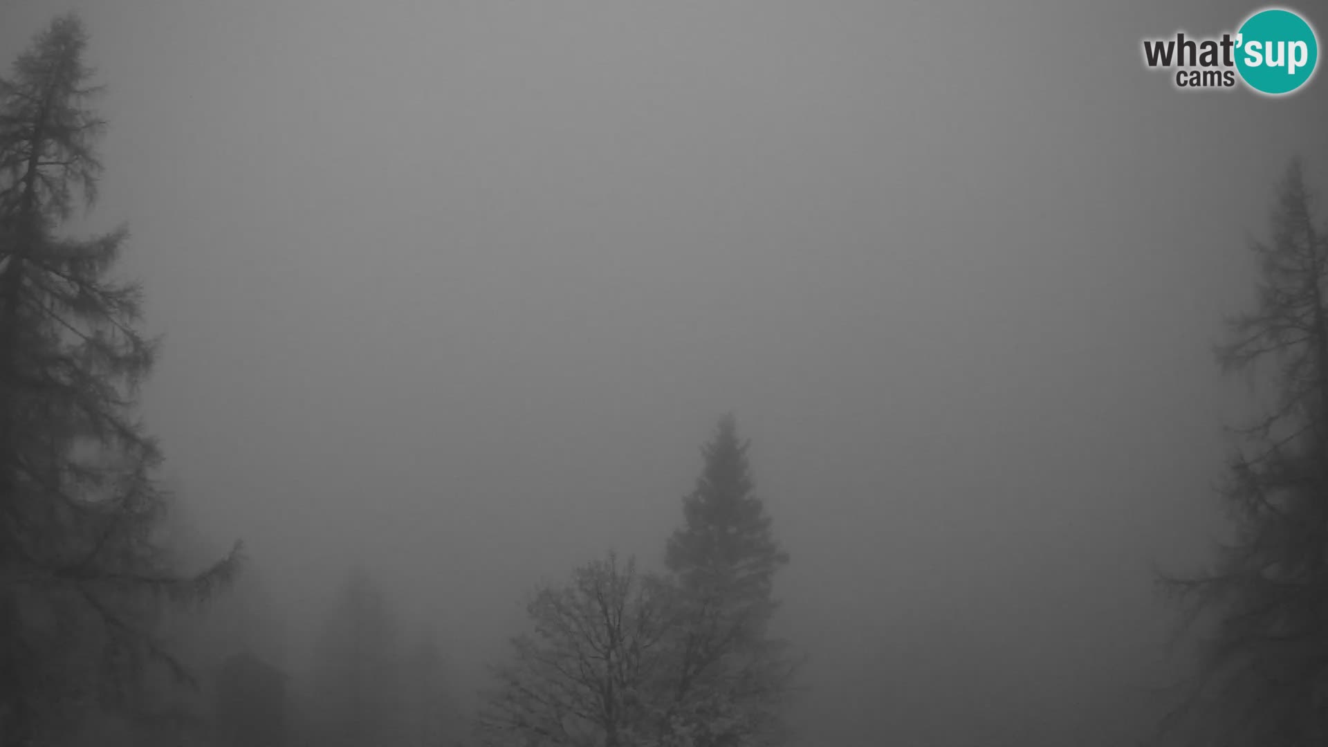 Webcam Vršič LIVE maison Erjavčeva – vue sur PRISOJNIK – Slovénie
