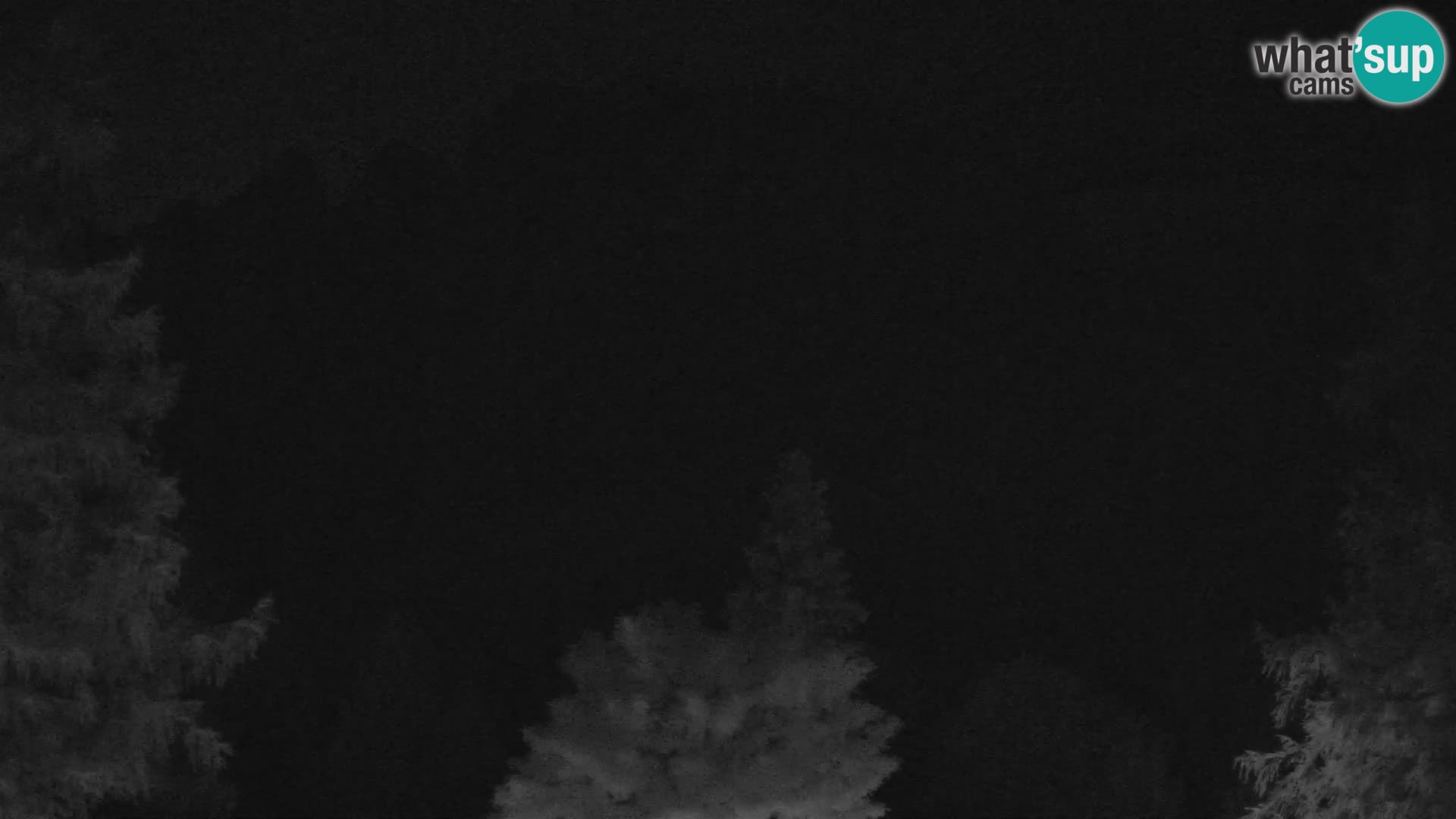 Vršič LIVE webcam casa Erjavčeva – vista sul PRISOJNIK – Slovenia