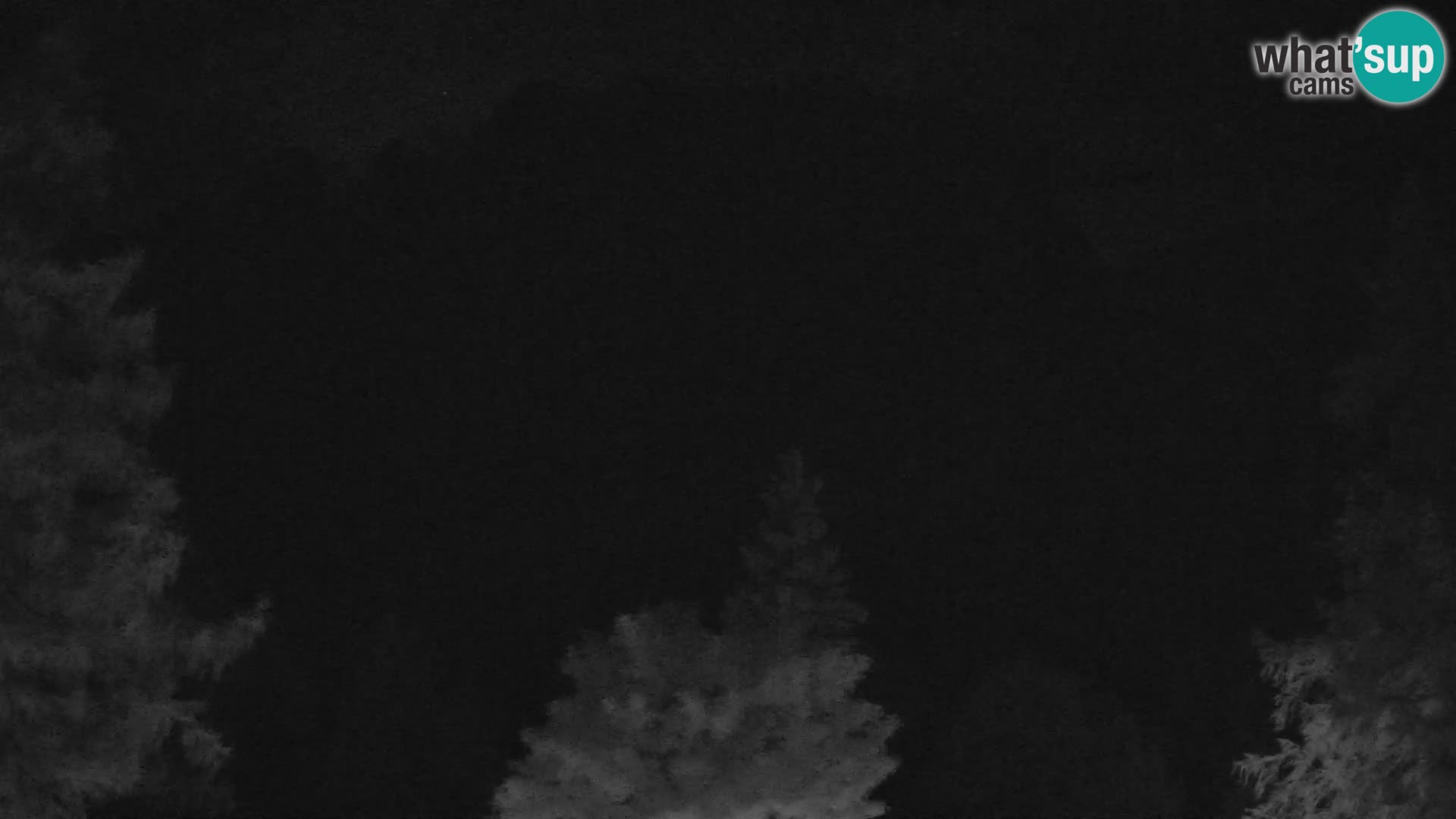 Webcam Vršič LIVE maison Erjavčeva – vue sur PRISOJNIK – Slovénie
