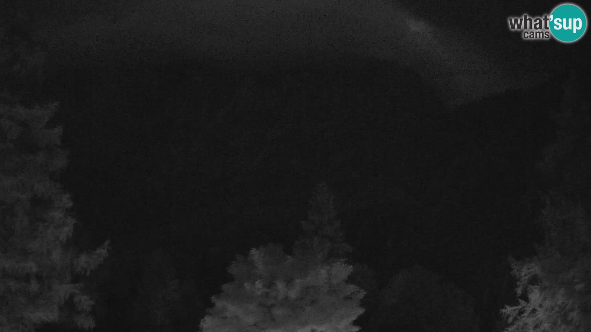 Webcam Vršič LIVE maison Erjavčeva – vue sur PRISOJNIK – Slovénie