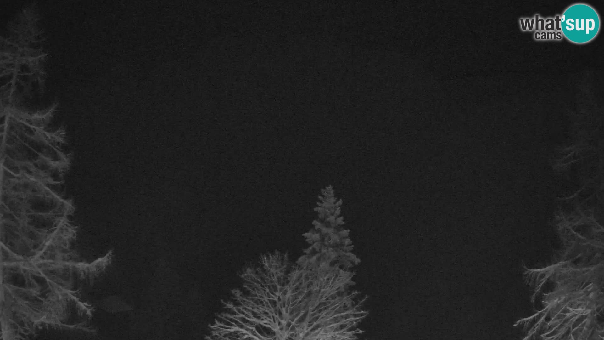 Webcam Vršič LIVE maison Erjavčeva – vue sur PRISOJNIK – Slovénie