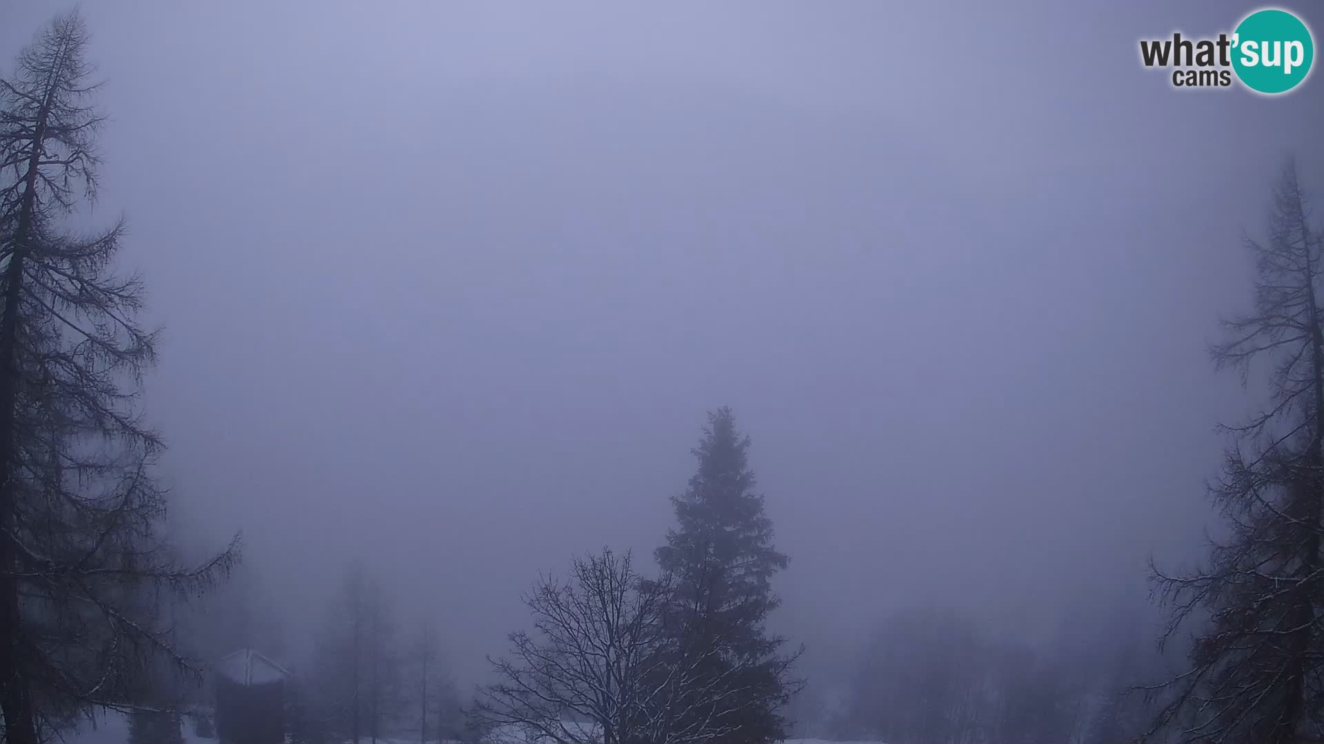 Vršič camera en vivo Casa Erjavčeva – vista a PRISOJNIK – Eslovenia