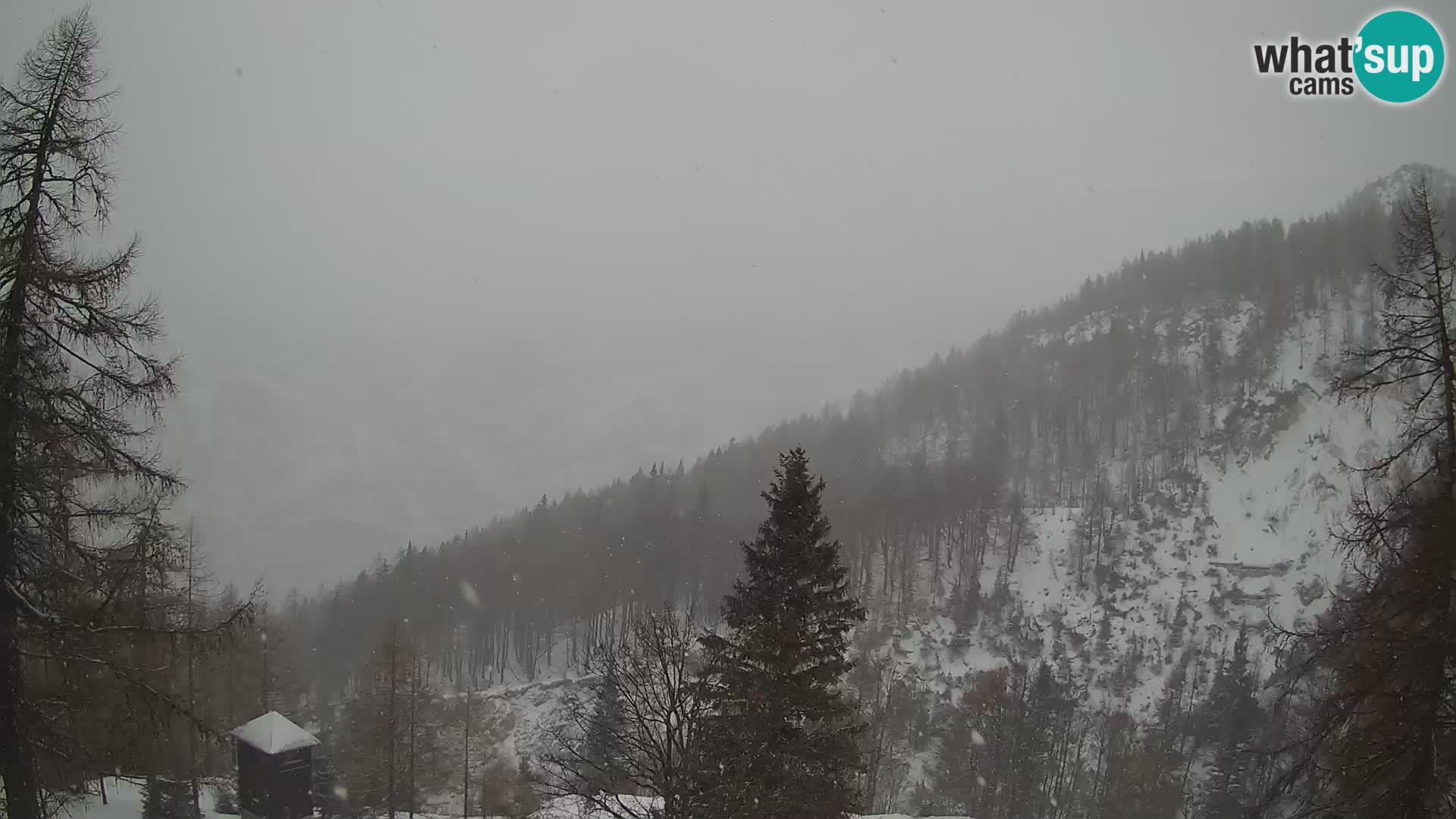 Vršič LIVE webcam casa Erjavčeva – vista sul PRISOJNIK – Slovenia