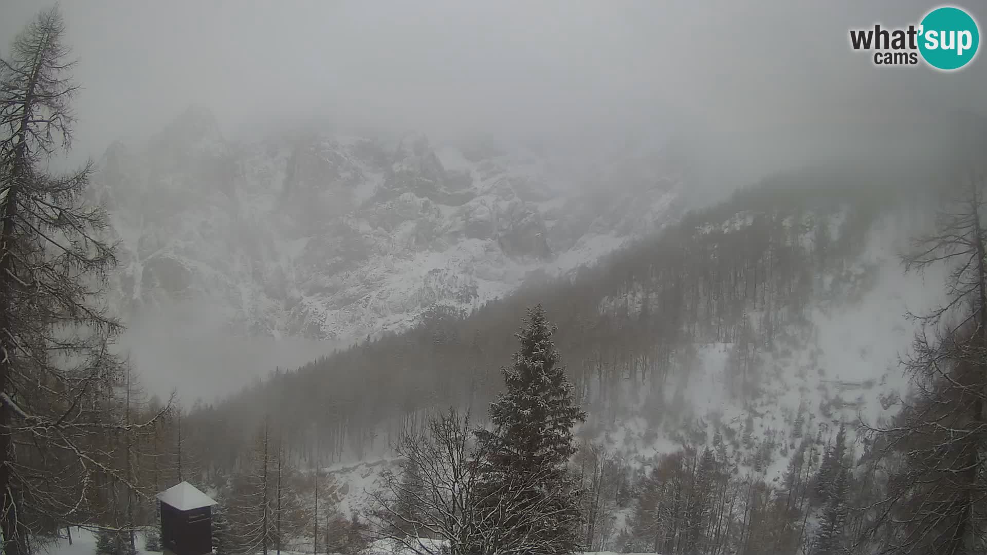 Vršič LIVE Webcam Haus Erjavčeva – Blick auf PRISOJNIK – Slowenien