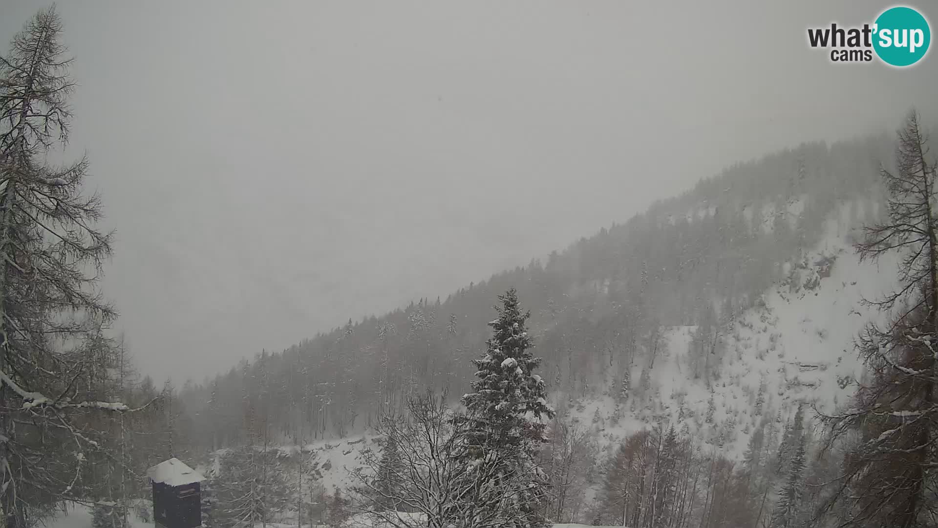 Vršič spletna kamera Erjavčeva hiša – pogled na PRISOJNIK