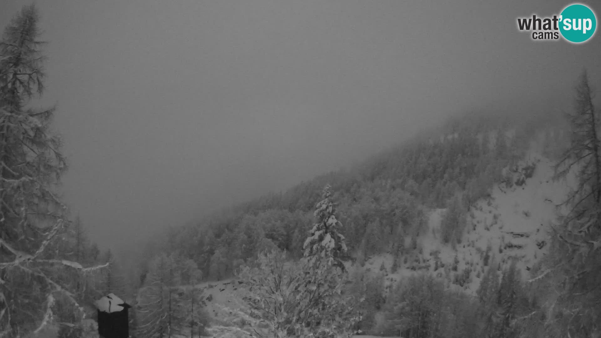 Vršič LIVE Webcam Haus Erjavčeva – Blick auf PRISOJNIK – Slowenien