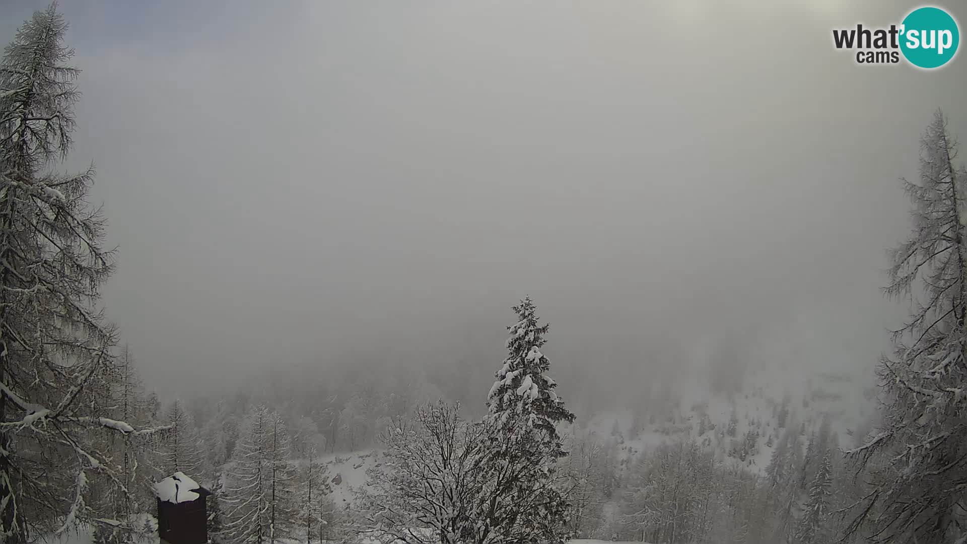 Vršič camera en vivo Casa Erjavčeva – vista a PRISOJNIK – Eslovenia