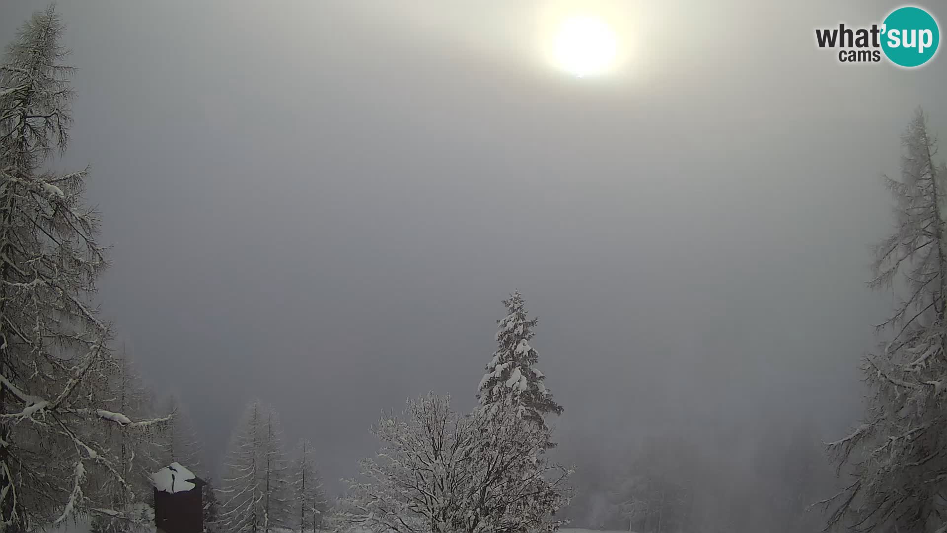 Vršič camera en vivo Casa Erjavčeva – vista a PRISOJNIK – Eslovenia