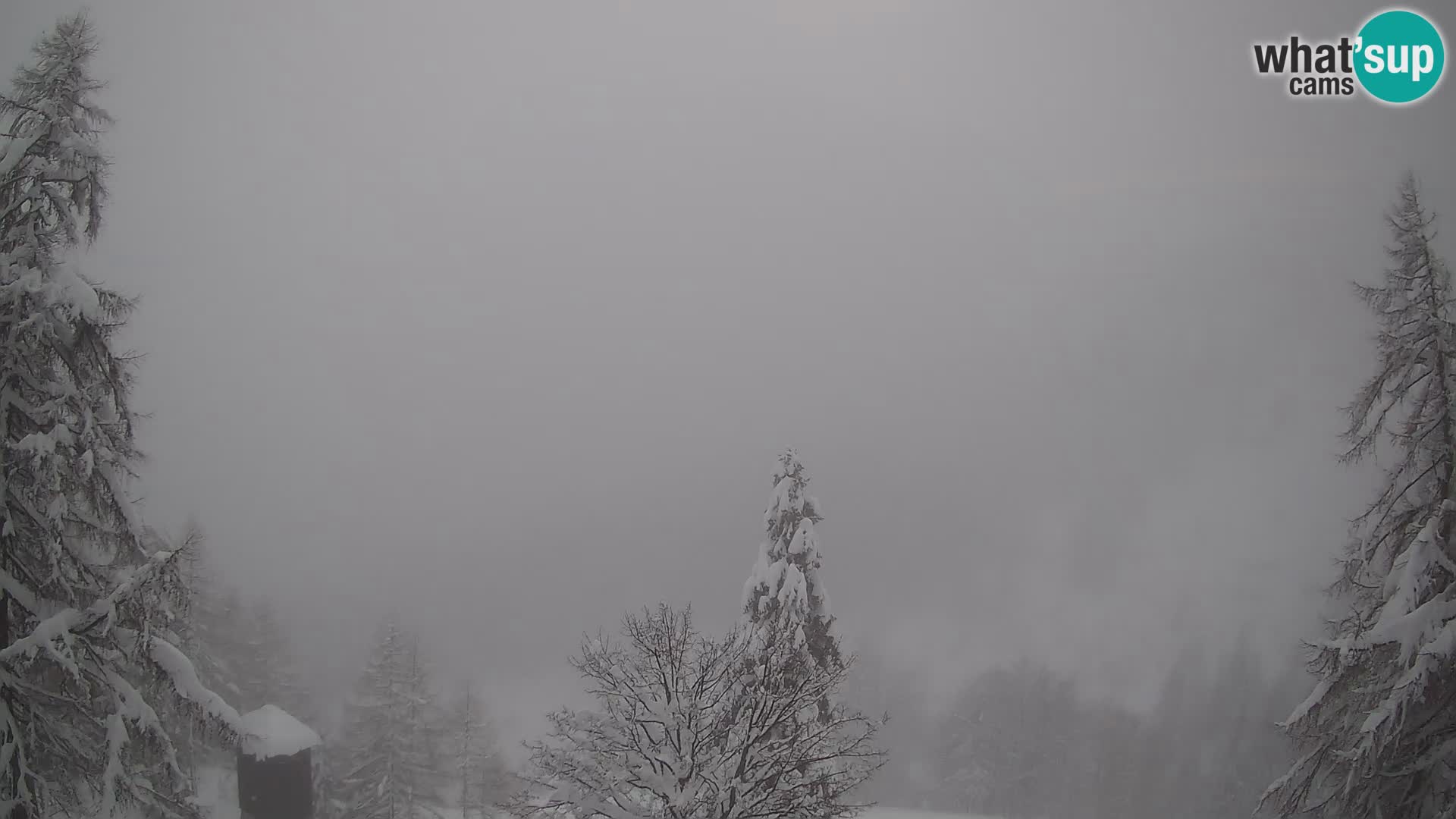 Vršič LIVE Webcam Haus Erjavčeva – Blick auf PRISOJNIK – Slowenien