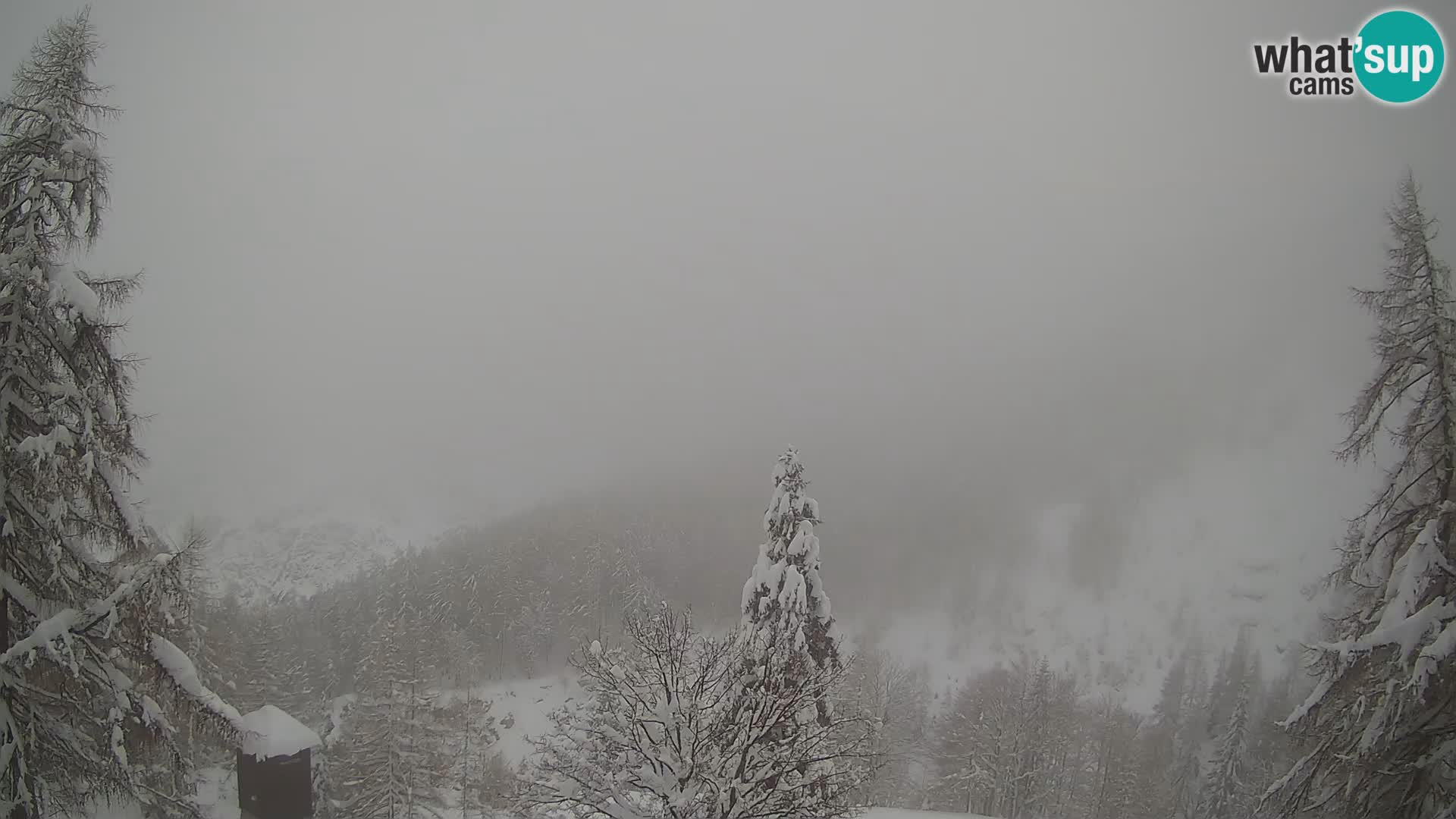 Vršič LIVE webcam casa Erjavčeva – vista sul PRISOJNIK – Slovenia