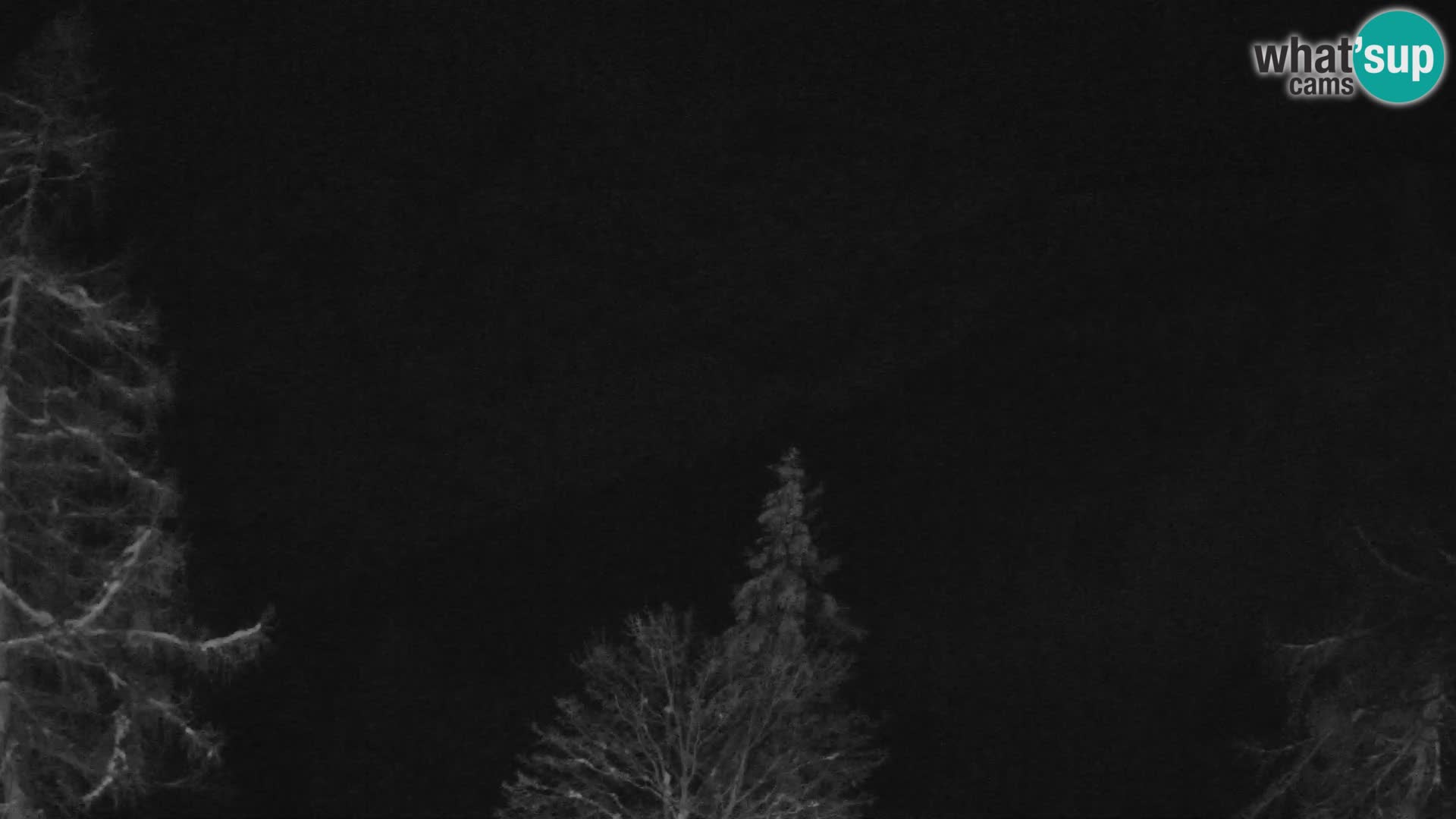 Webcam Vršič LIVE maison Erjavčeva – vue sur PRISOJNIK – Slovénie