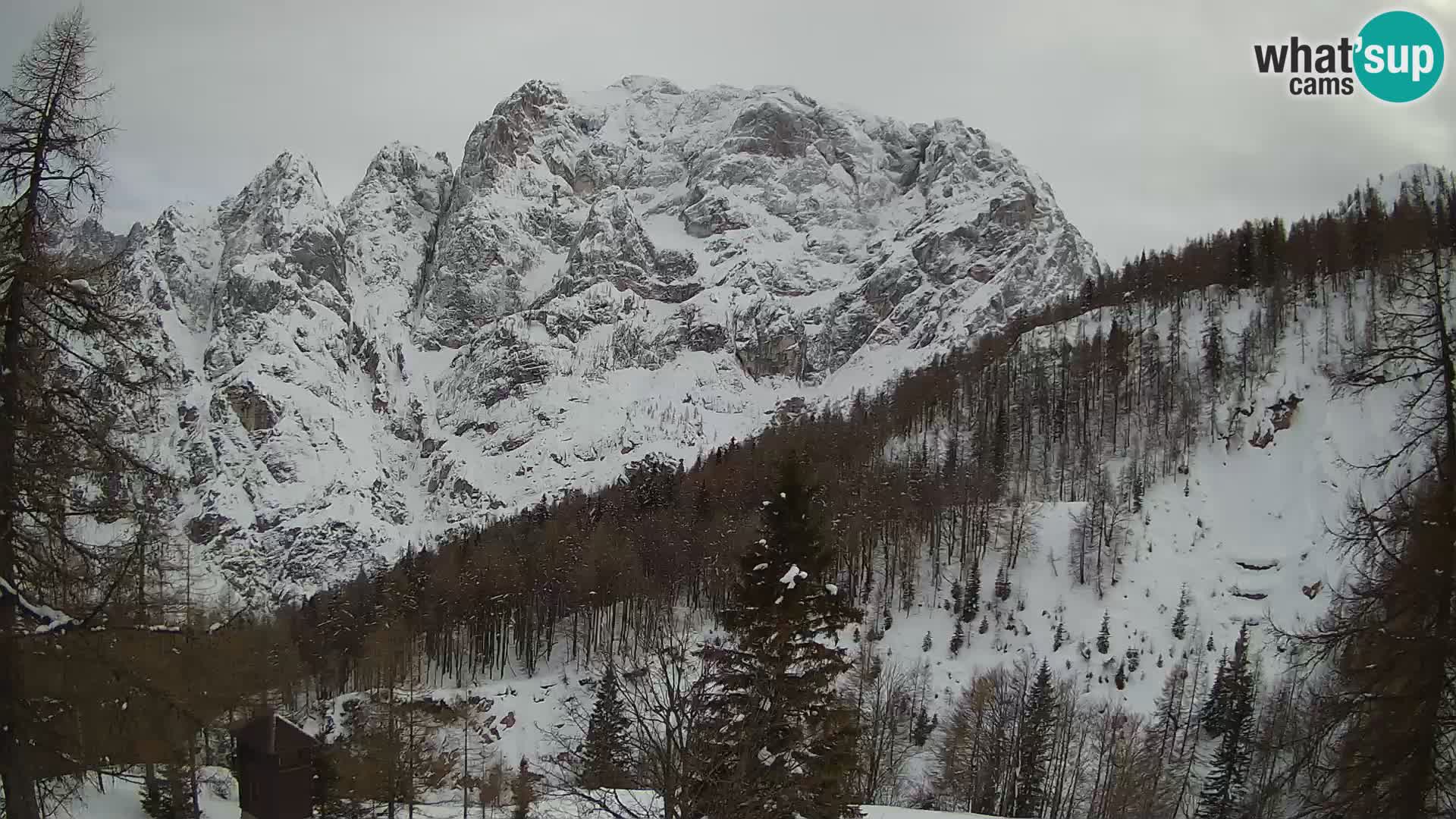 Vršič LIVE Webcam Haus Erjavčeva – Blick auf PRISOJNIK – Slowenien