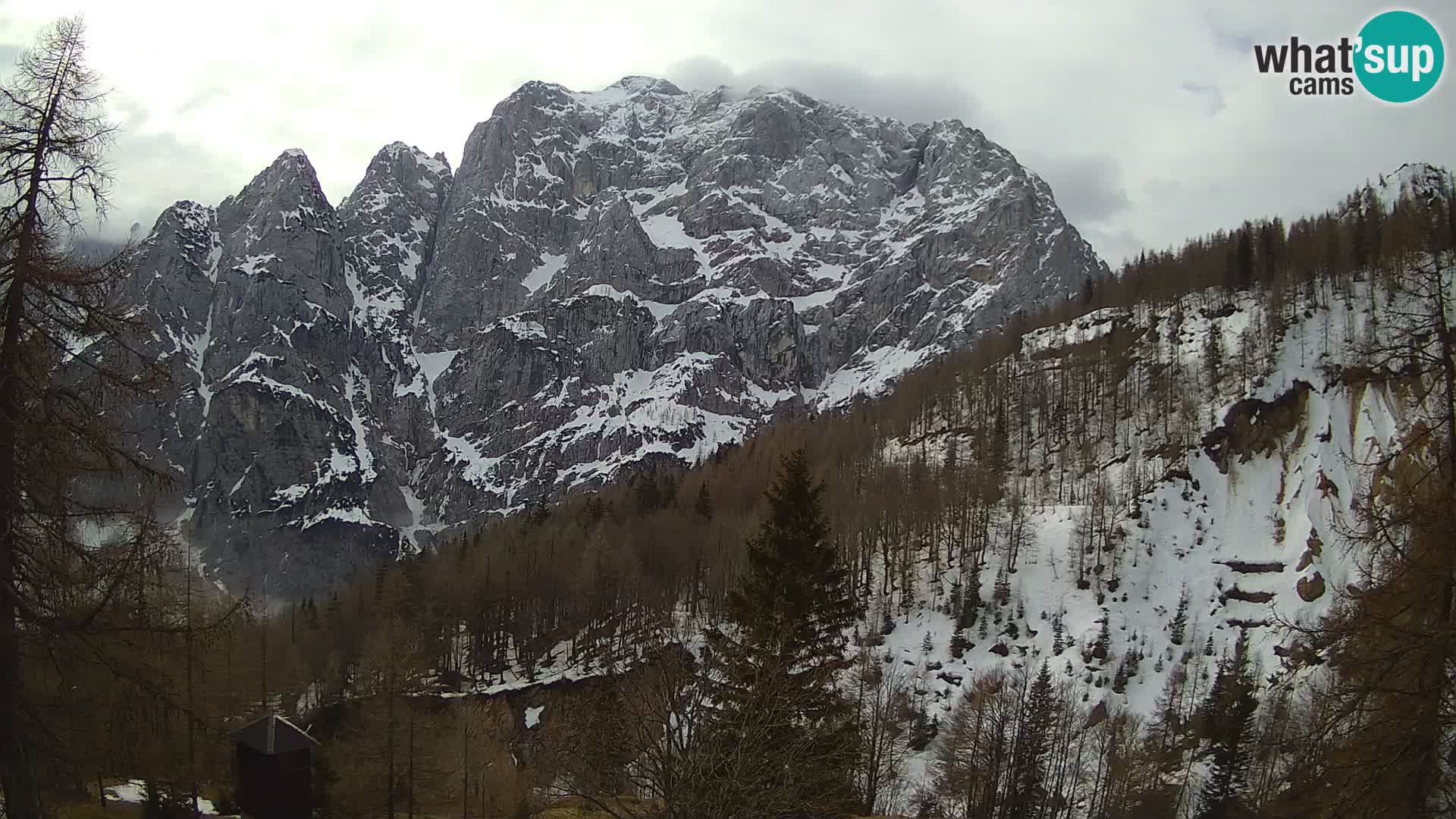 Webcam Vršič LIVE maison Erjavčeva – vue sur PRISOJNIK – Slovénie