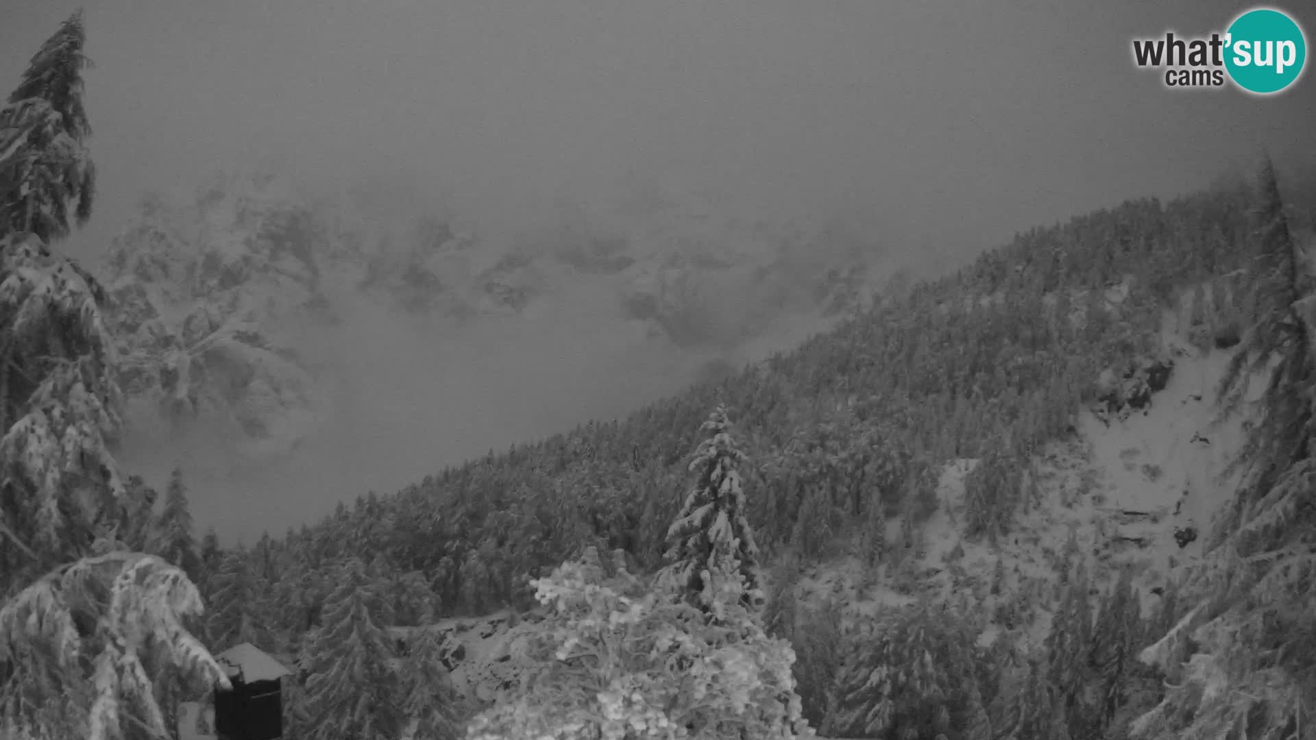 Vršič LIVE Webcam Haus Erjavčeva – Blick auf PRISOJNIK – Slowenien