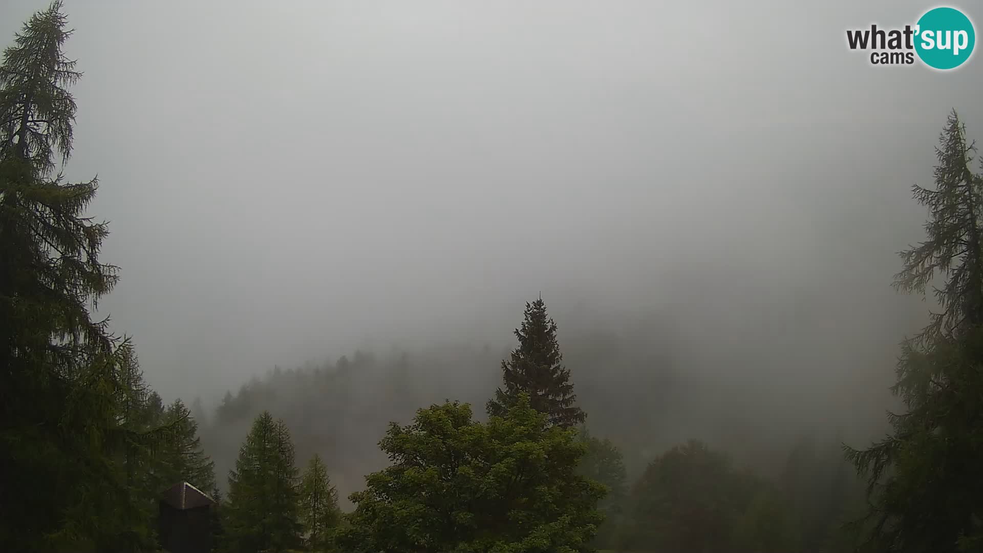 Webcam Vršič LIVE maison Erjavčeva – vue sur PRISOJNIK – Slovénie