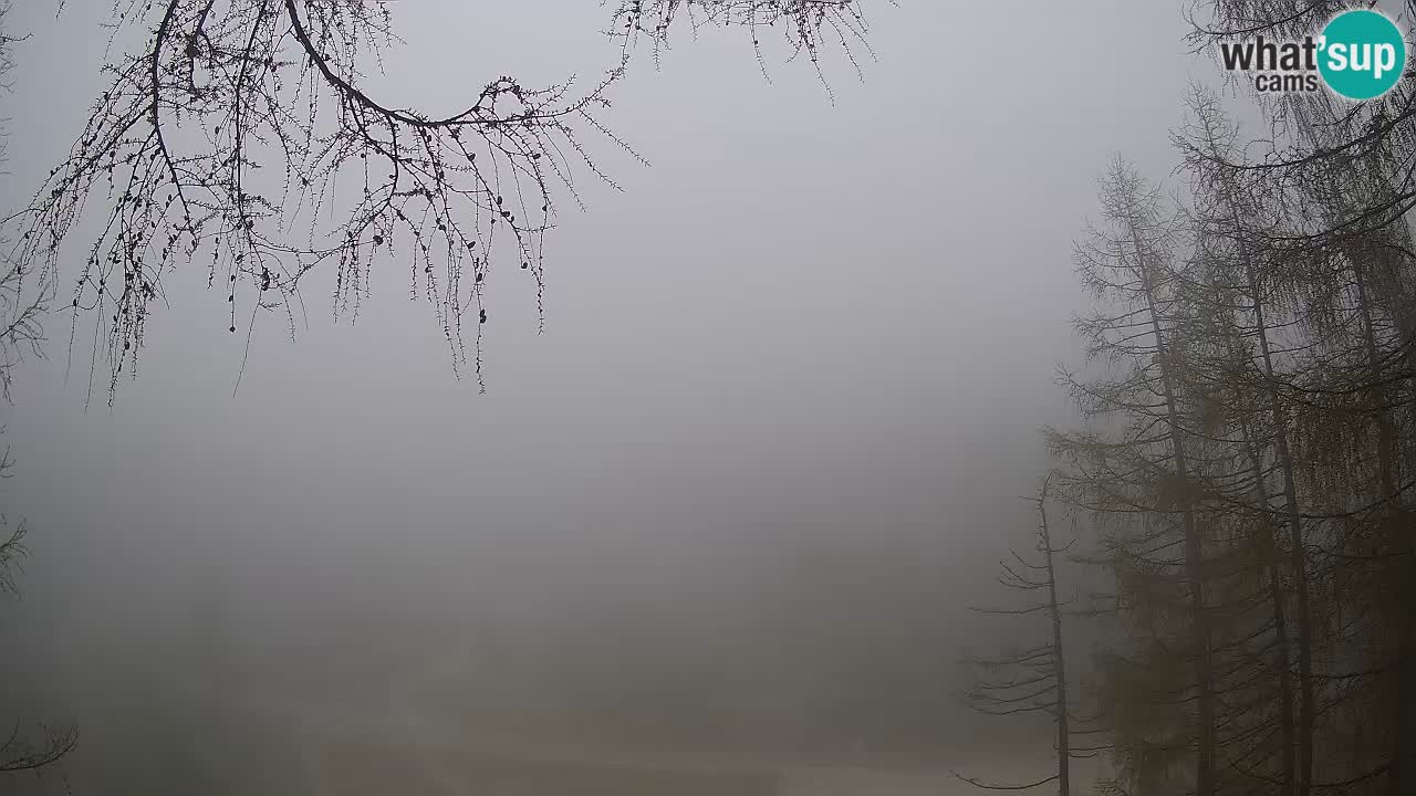 Live webcam Vršič – Erjavčeva house – Slovenia