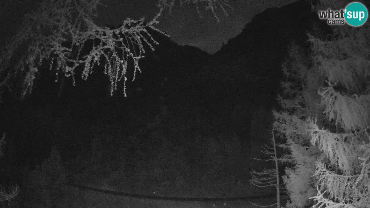 Spletna Kamera Vršič – Erjavčeva hiša – Slovenija