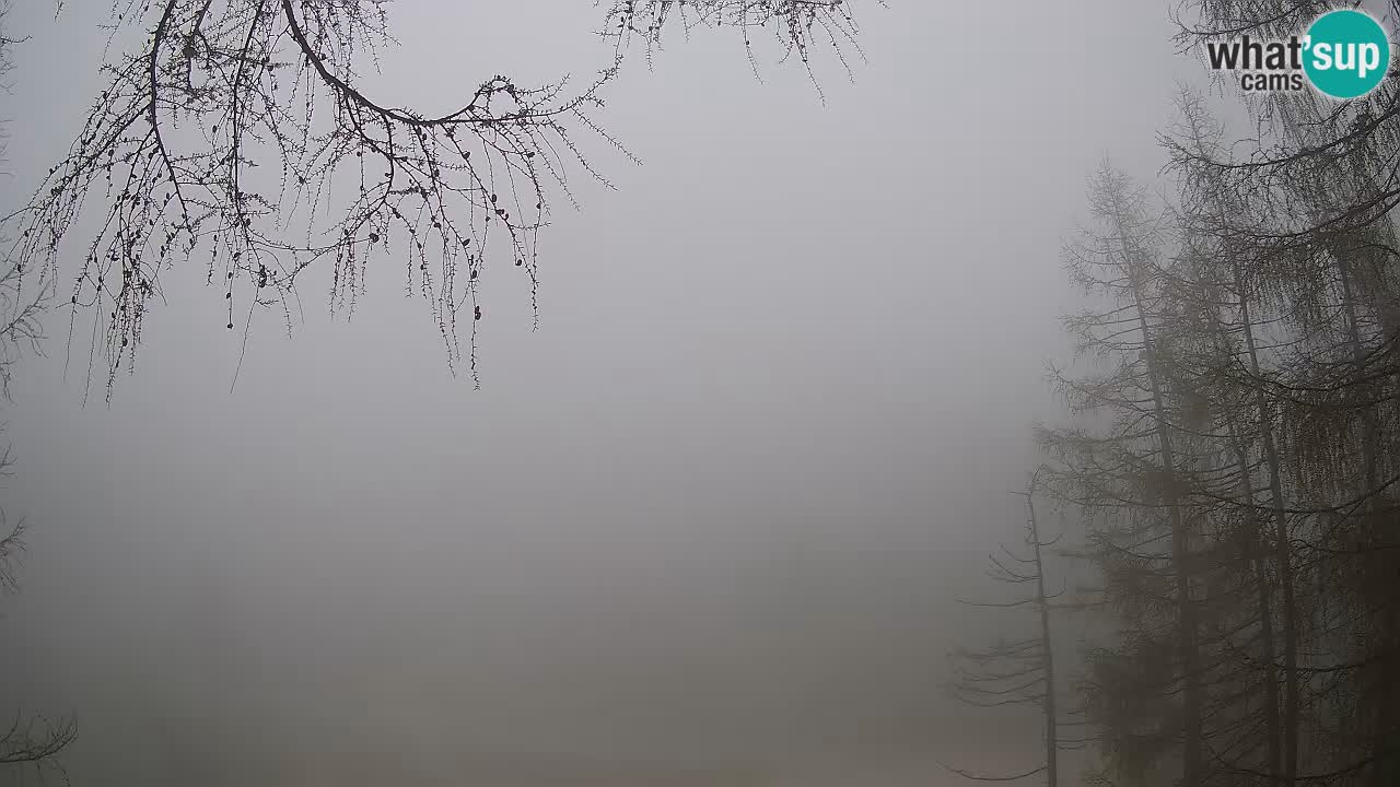 Live webcam Vršič – Baita di montagna Erjavčeva – Slovenia