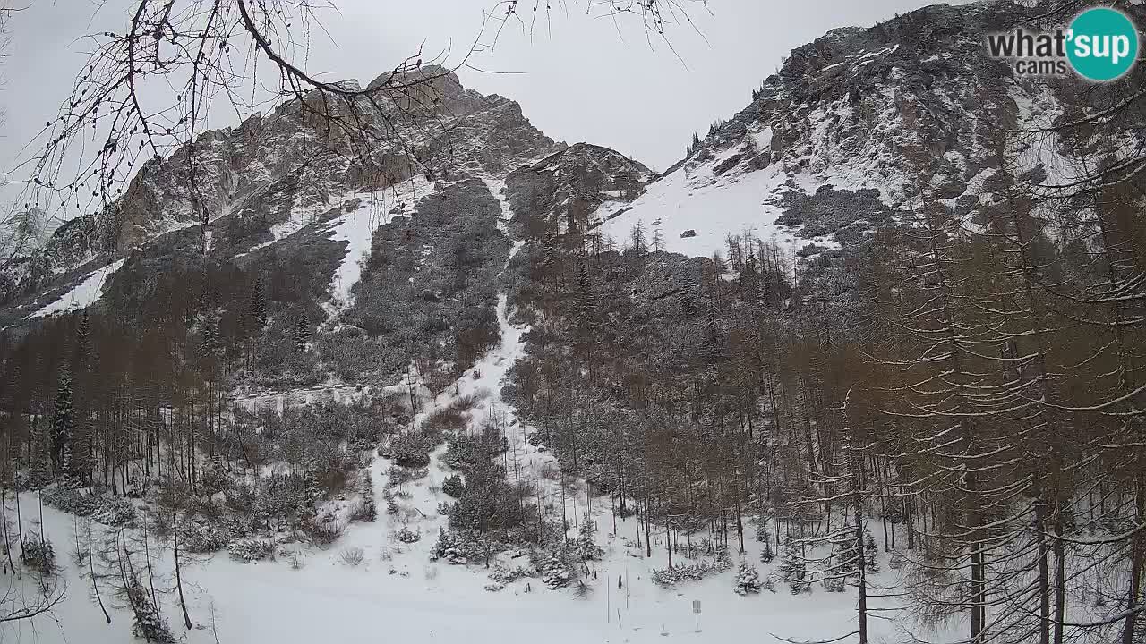 Live Webcam Vršič – Haus Erjavčeva – Slowenien